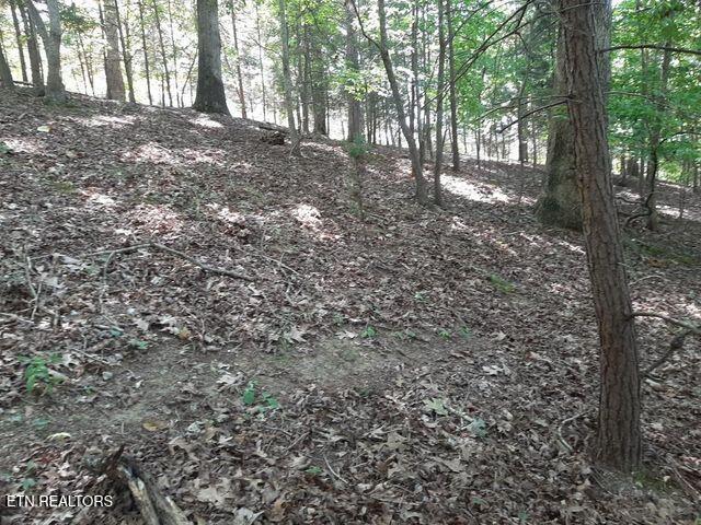 Deer Pond Circle Lafollette TN 37766