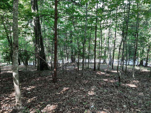 Deer Pond Circle Lafollette TN 37766