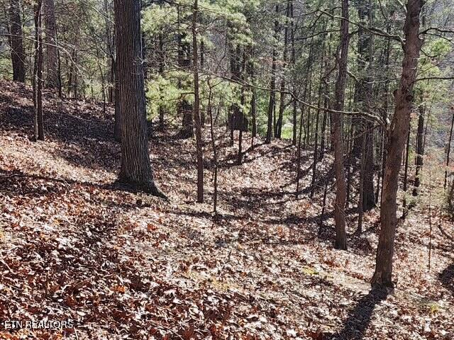 Deer Pond Circle Lafollette TN 37766
