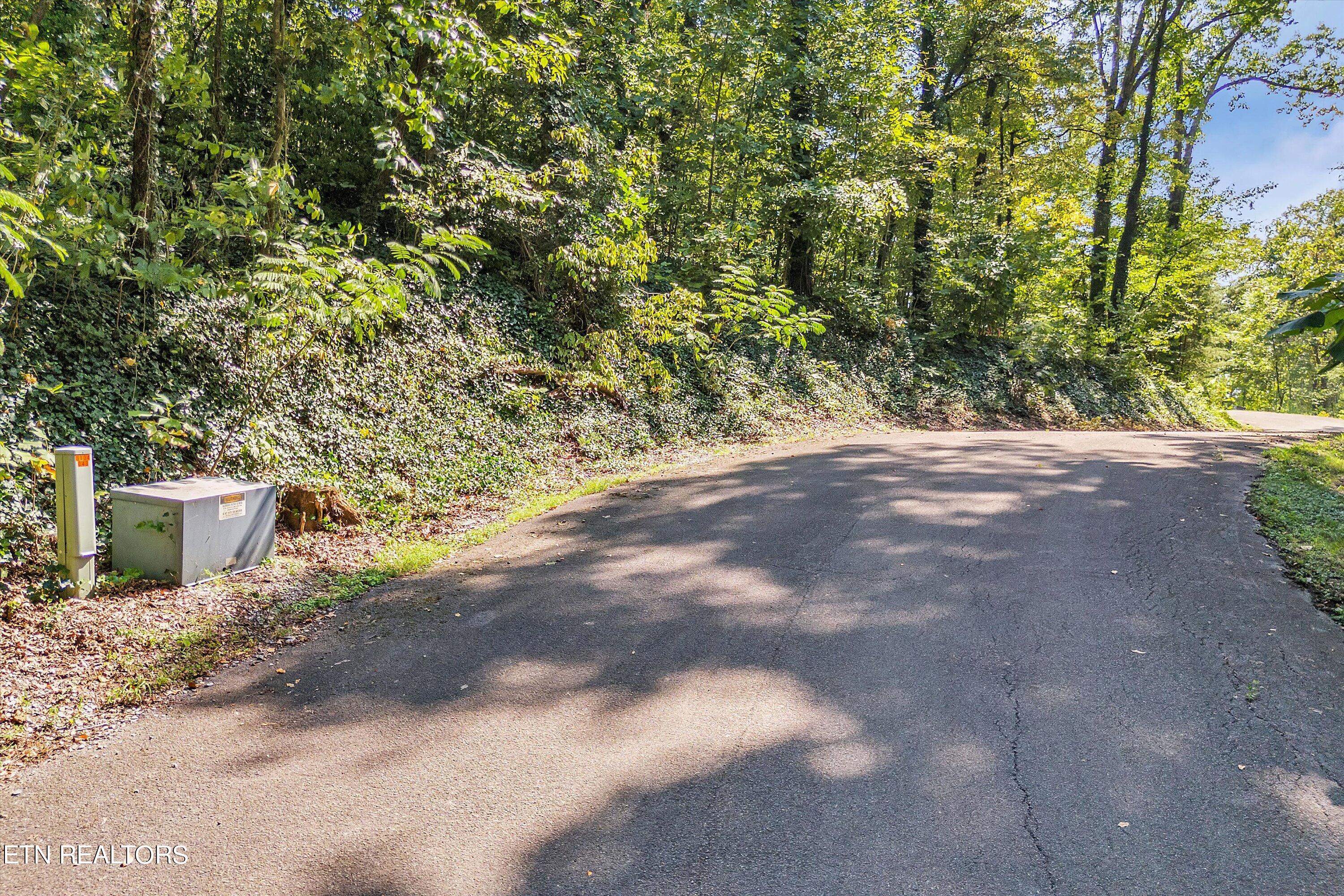 Lot 2 Baye Road Rutledge TN 37861
