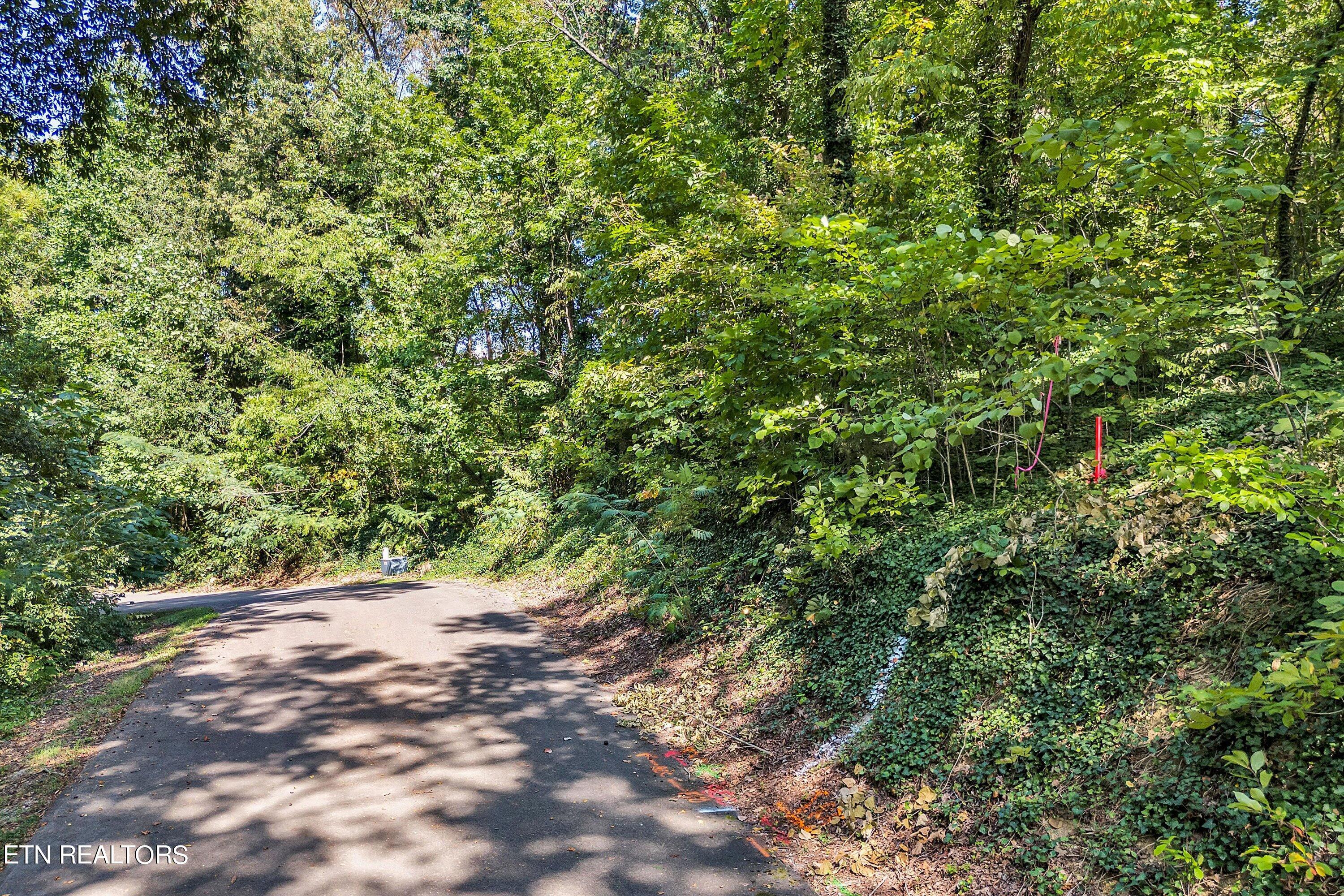 Lot 2 Baye Road Rutledge TN 37861