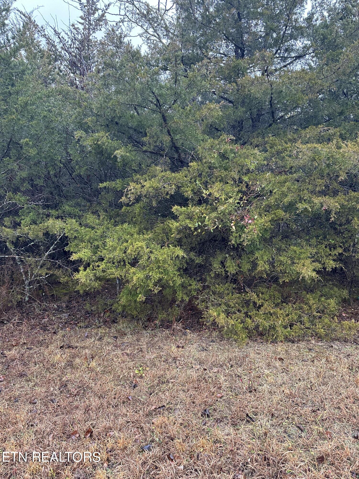 LOT156 Wedge Way Tazewell TN 37879