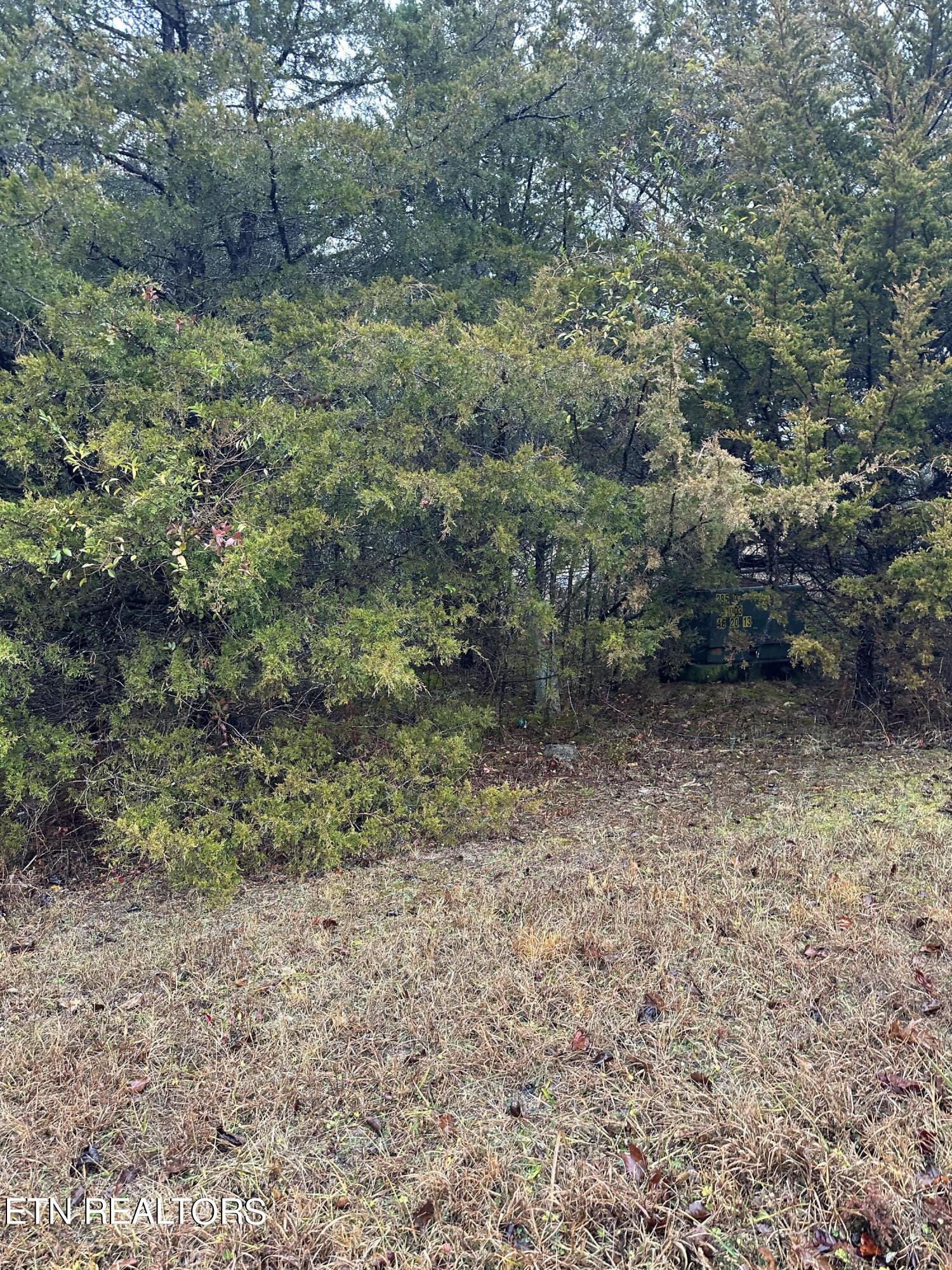 LOT156 Wedge Way Tazewell TN 37879
