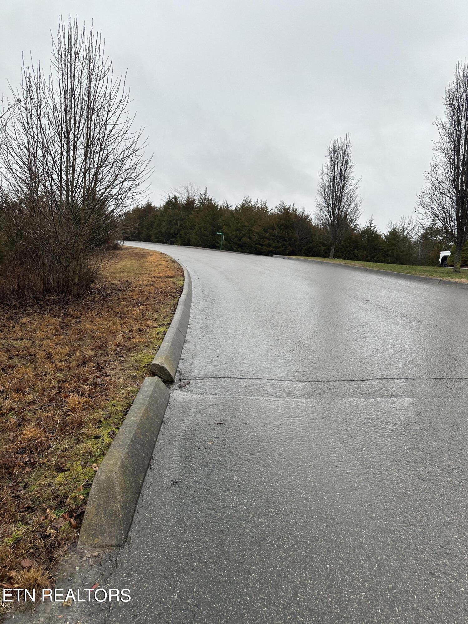 LOT156 Wedge Way Tazewell TN 37879