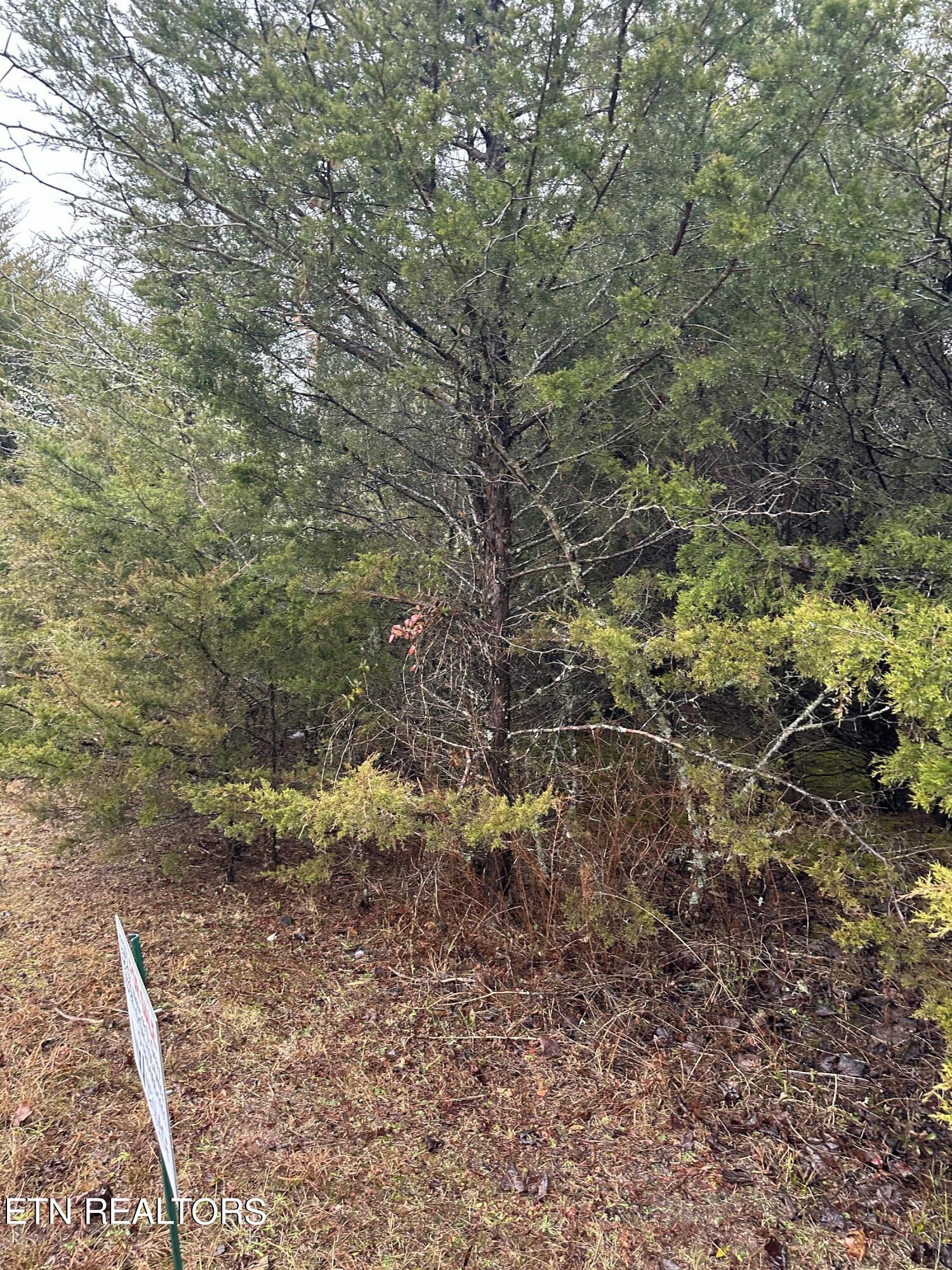LOT156 Wedge Way Tazewell TN 37879