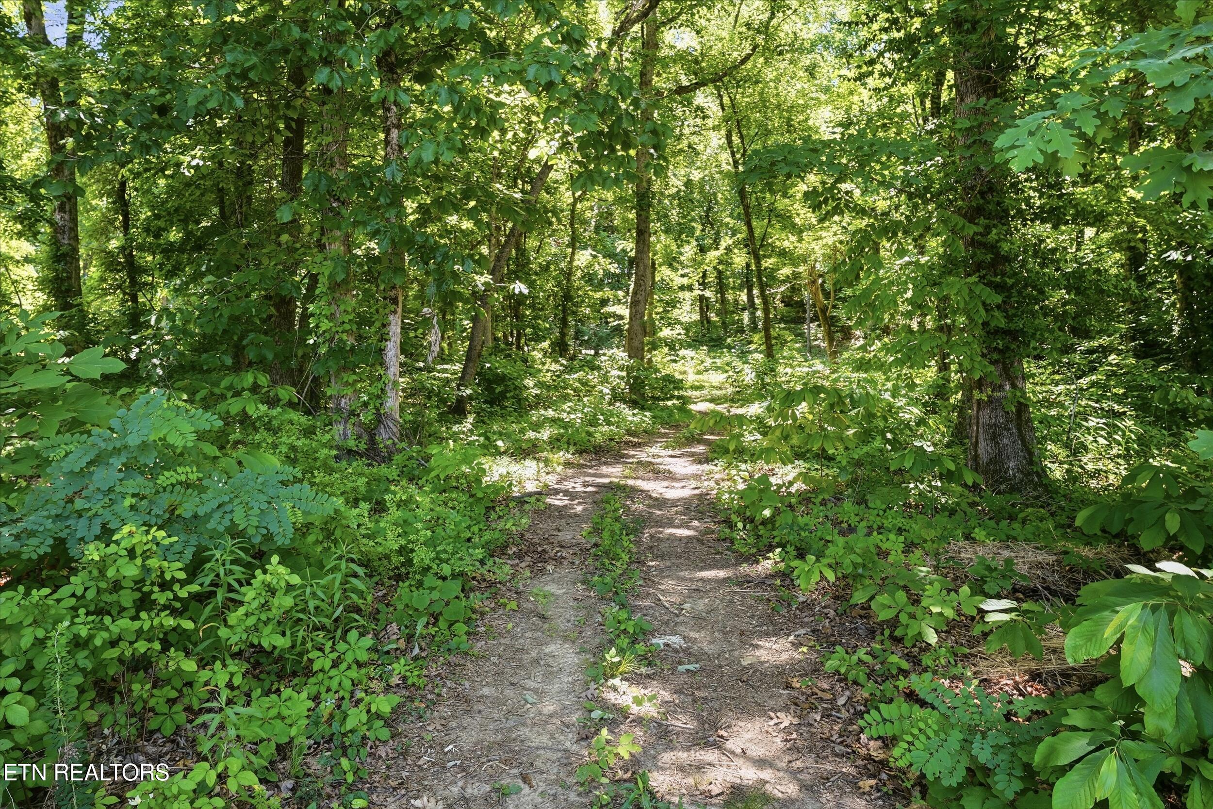 3406 Lanyard Lane Louisville TN 37777