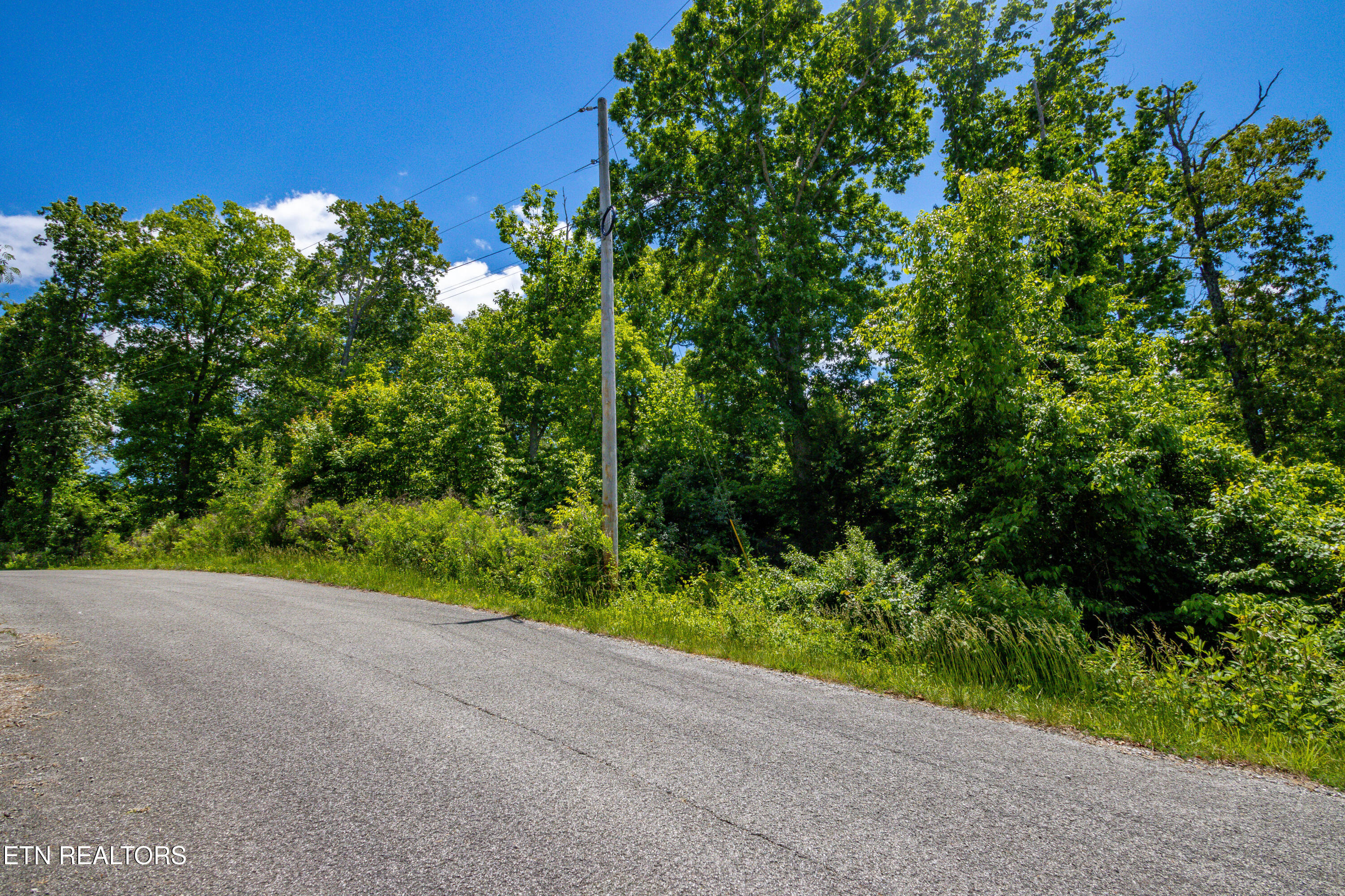 Lot 47 Horseshoebend Speedwell TN 37870