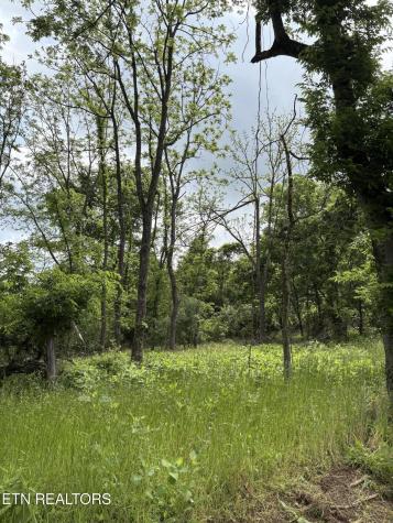 0 Grubb Road Lenoir City TN 37771