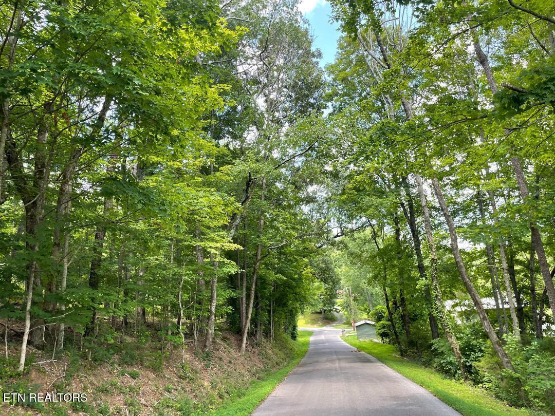 64 Riddle Street Dayton TN 37321