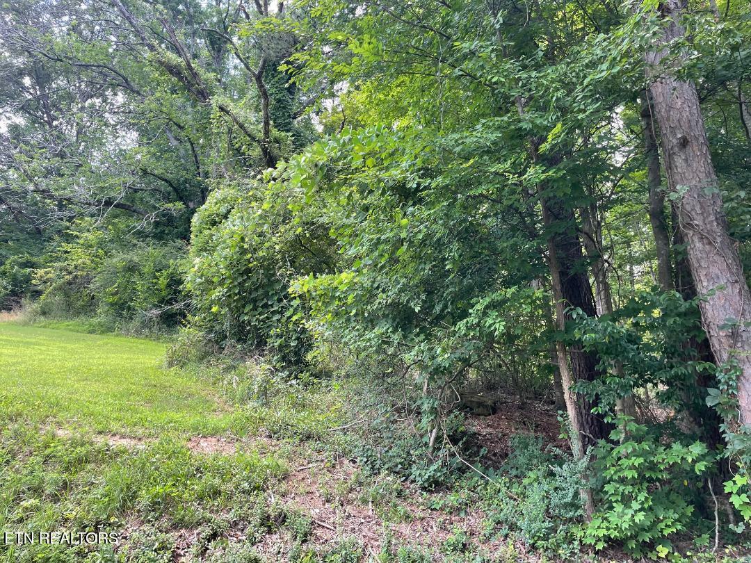 64 Riddle Street Dayton TN 37321