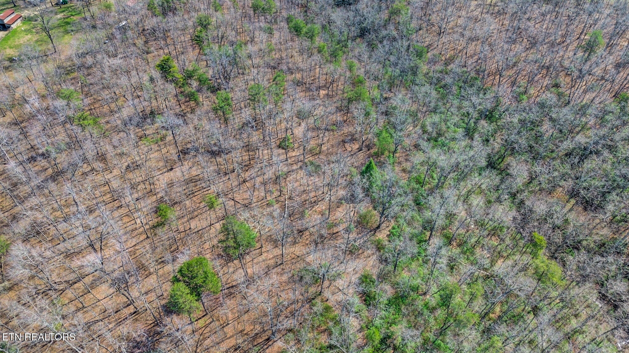 Thompson Road Crossville TN 38571