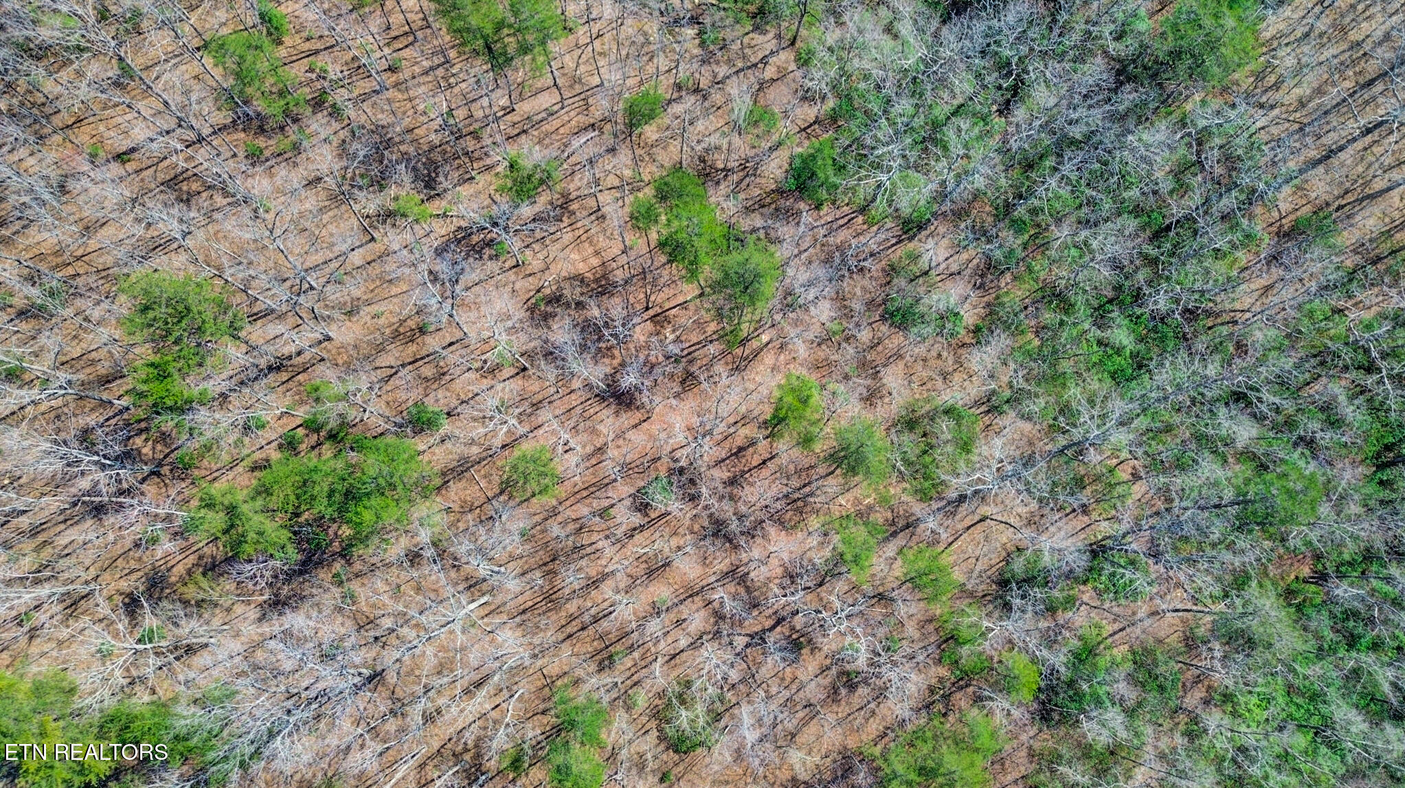 Thompson Road Crossville TN 38571