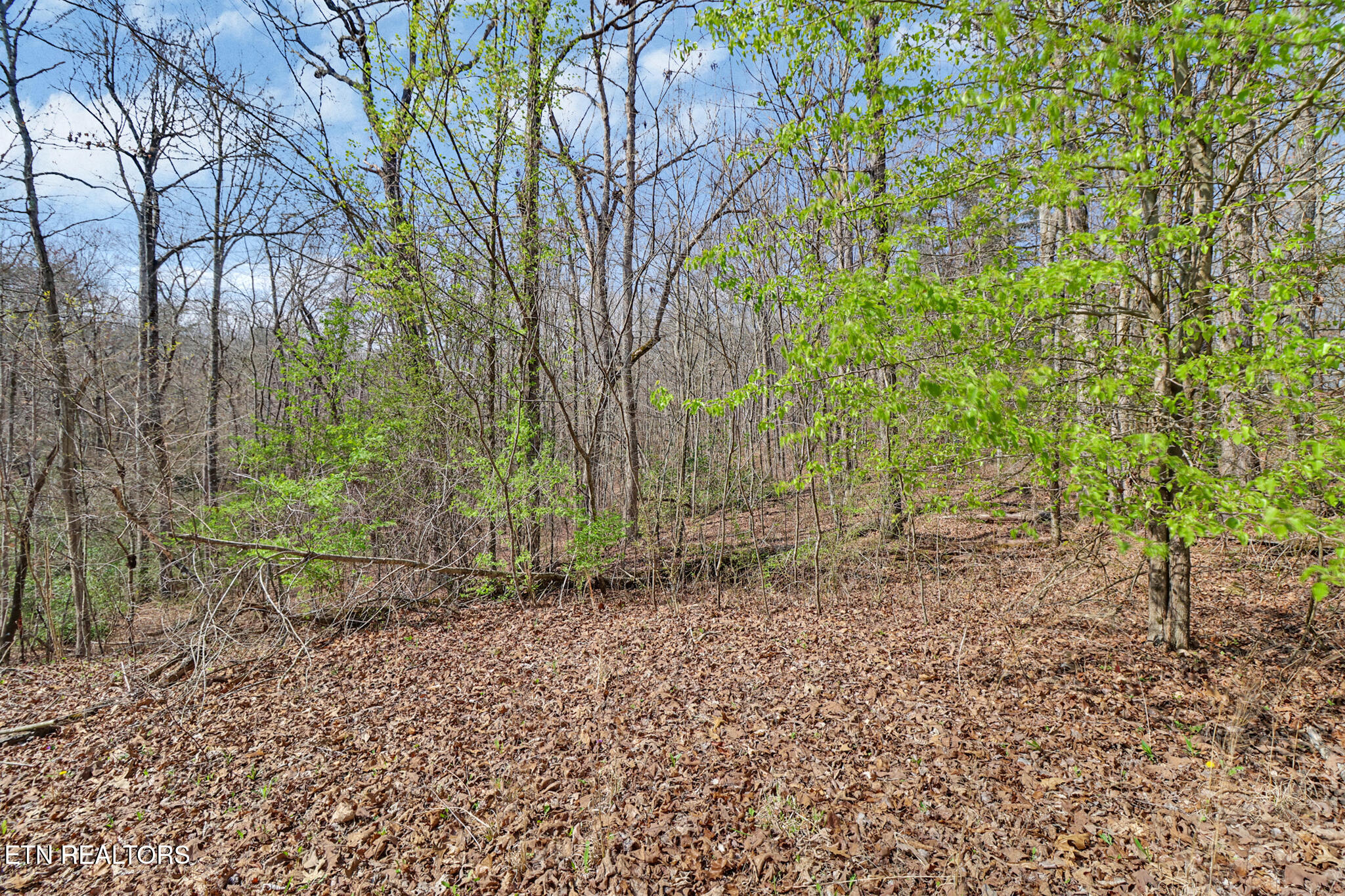Thompson Road Crossville TN 38571