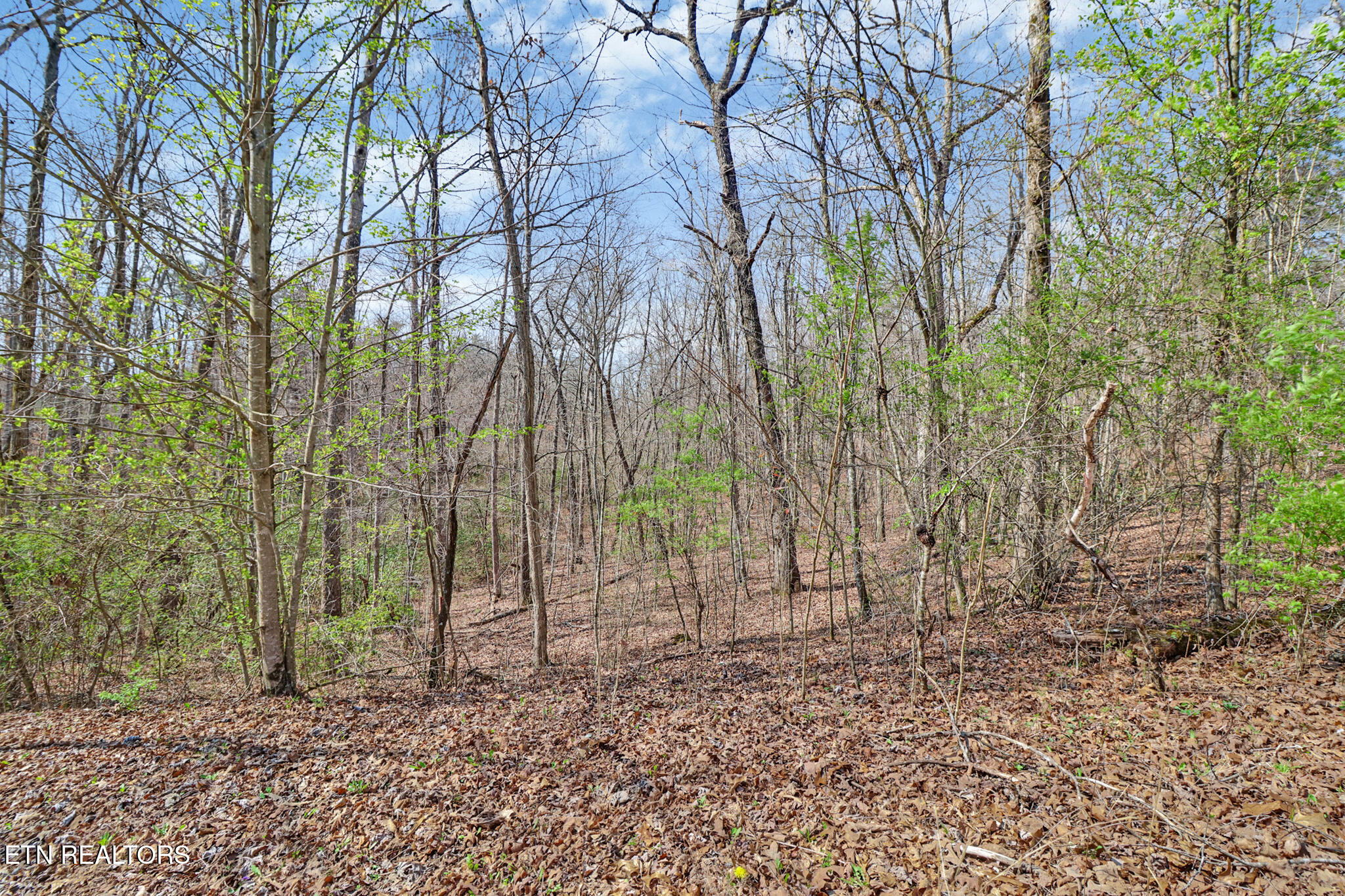Thompson Road Crossville TN 38571