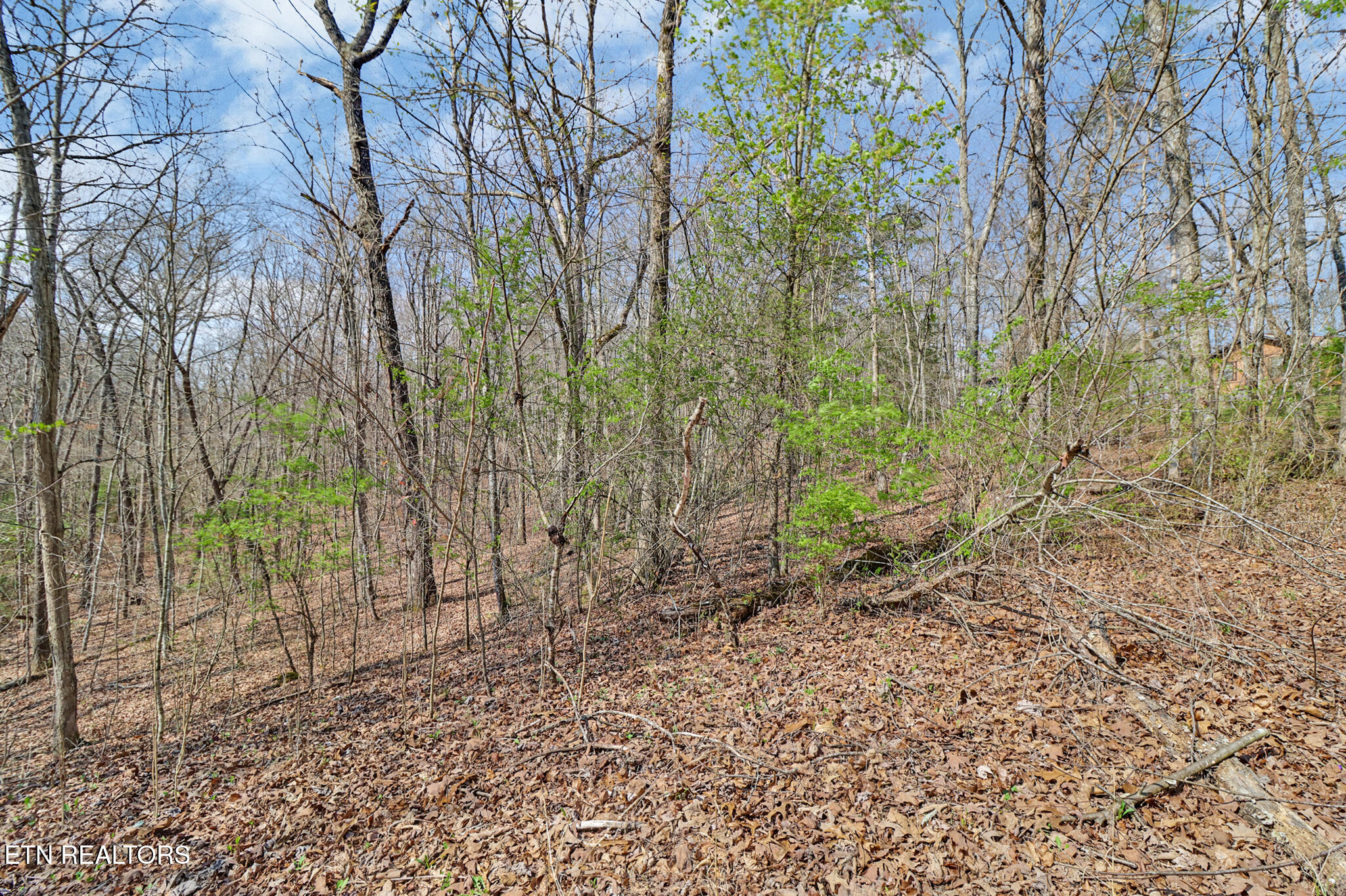 Thompson Road Crossville TN 38571
