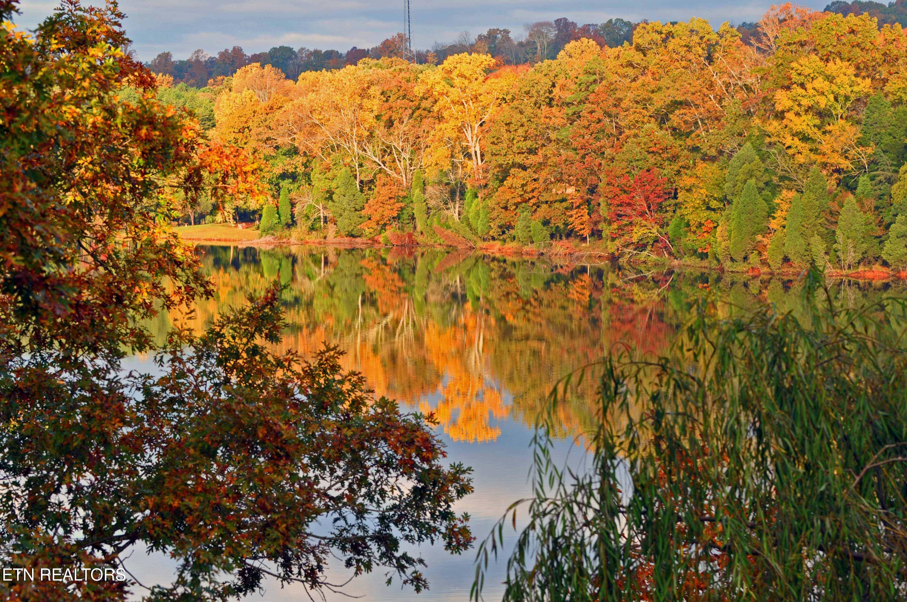 608 Wood Duck Drive Vonore TN 37885