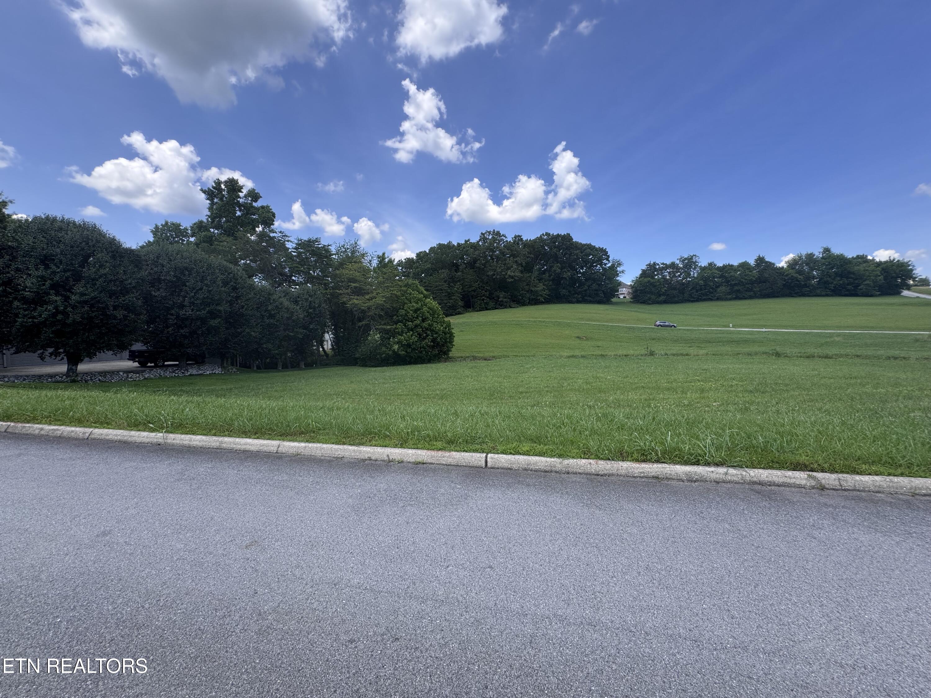 608 Wood Duck Drive Vonore TN 37885