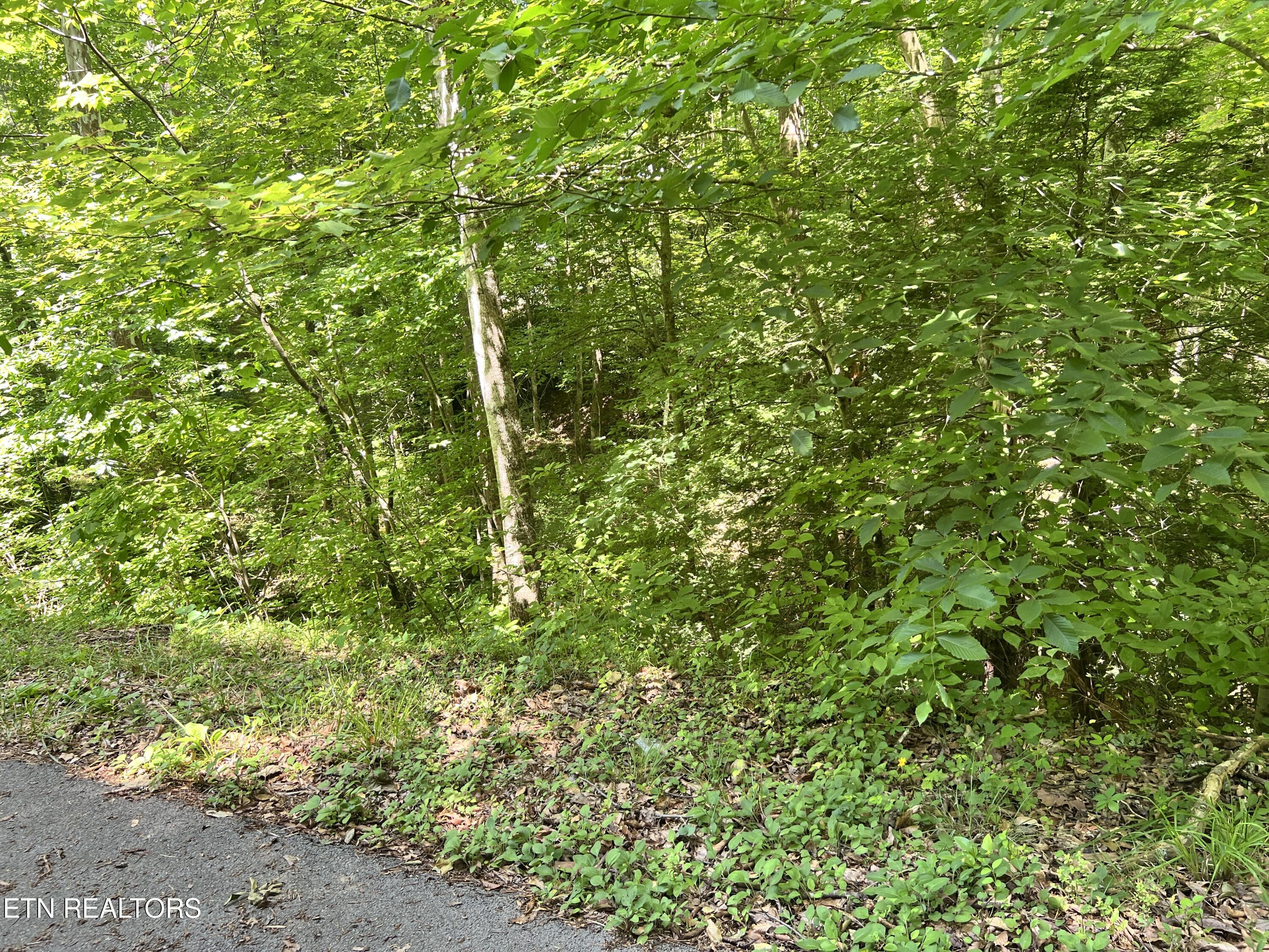 Fir Drive Sevierville TN 37876