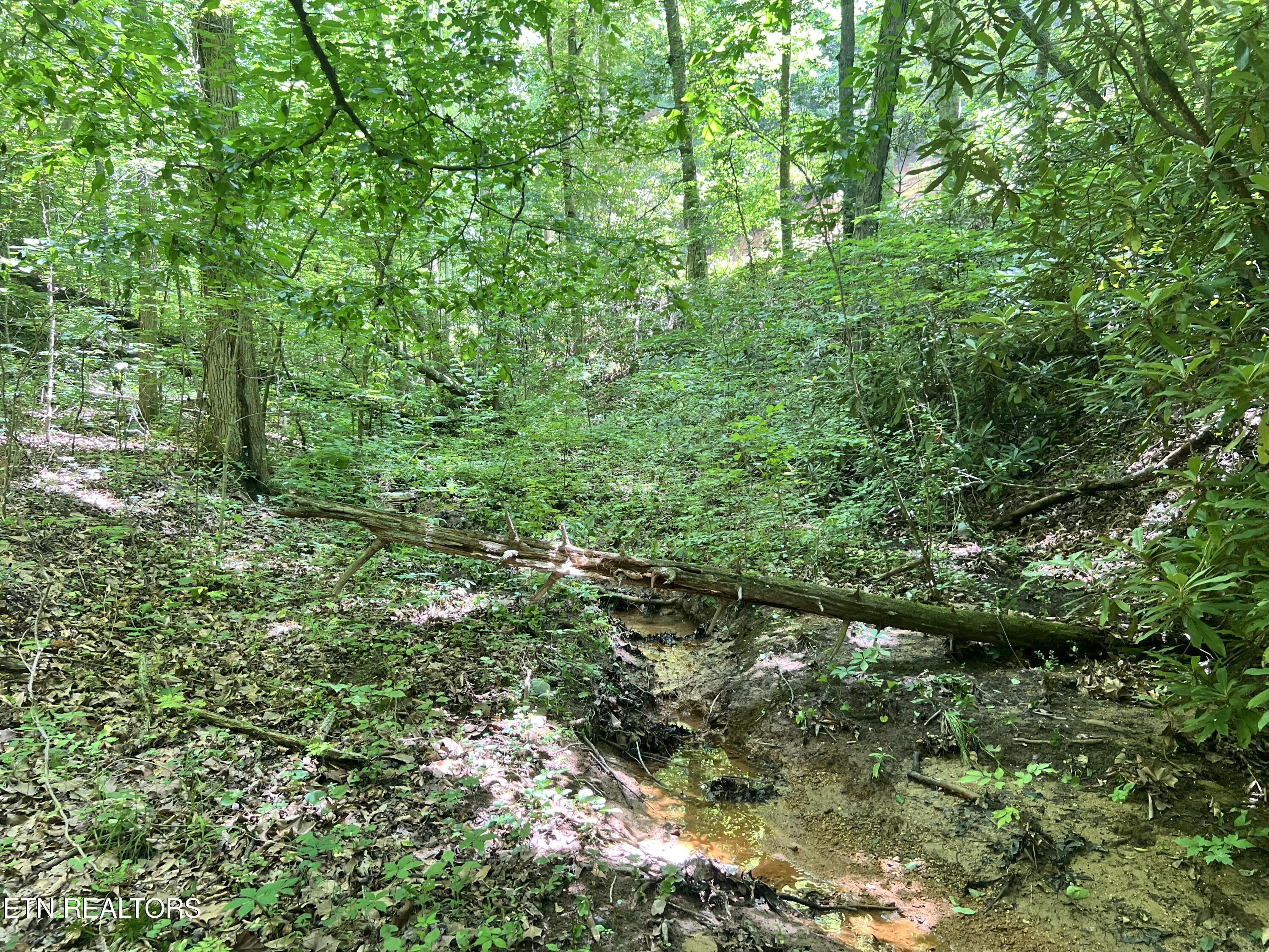 Fir Drive Sevierville TN 37876