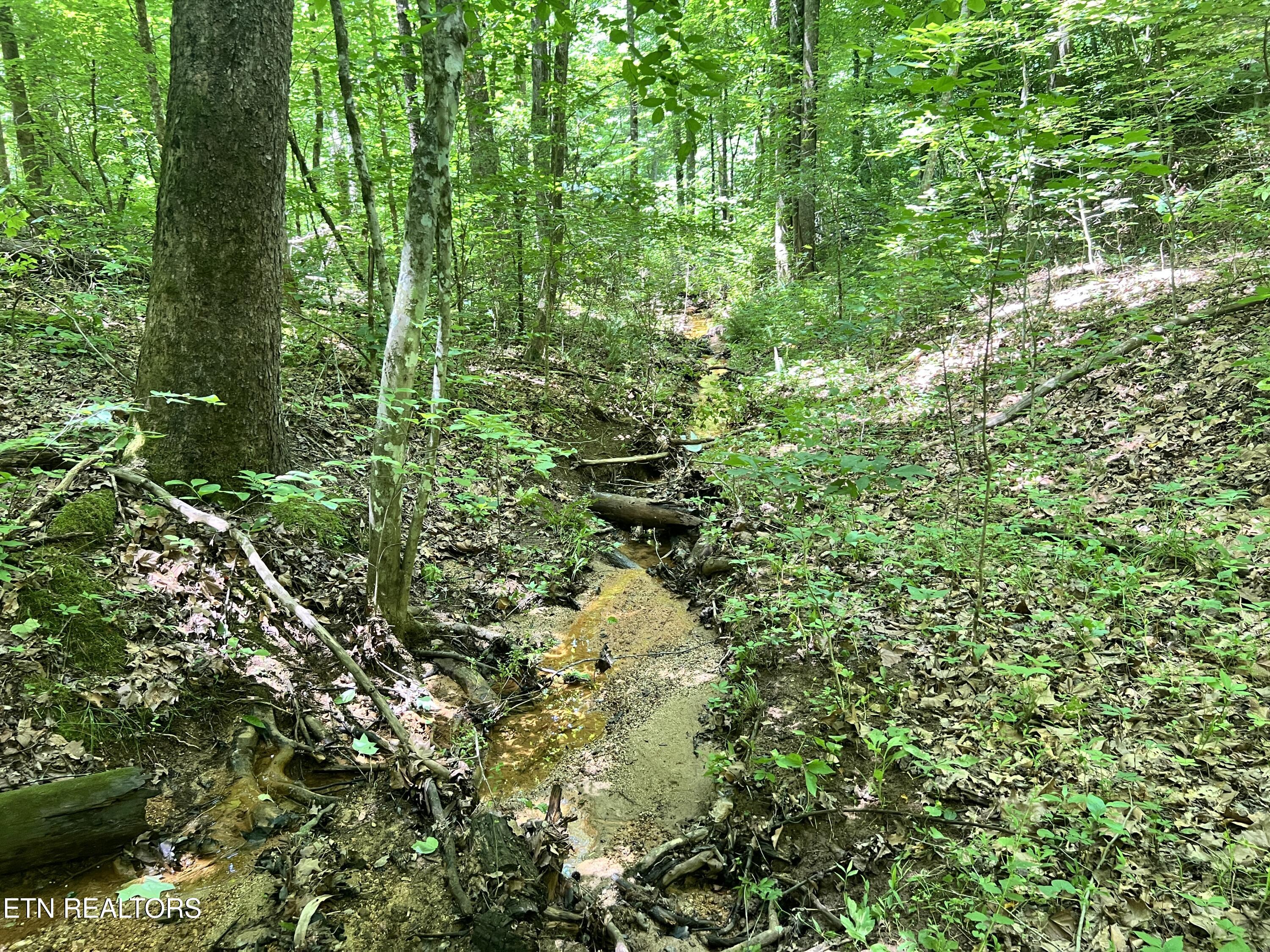 Fir Drive Sevierville TN 37876