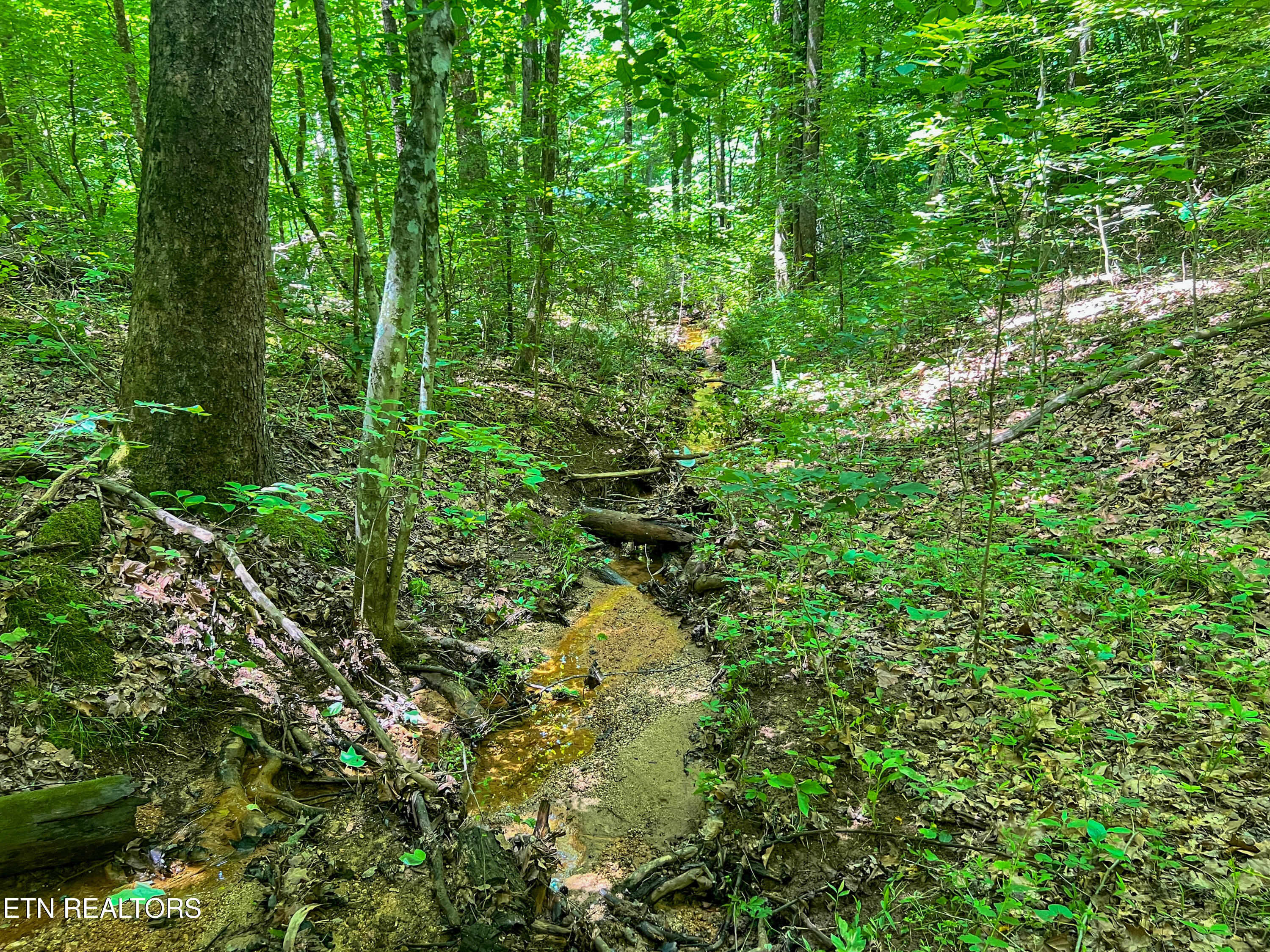 Fir Drive Sevierville TN 37876
