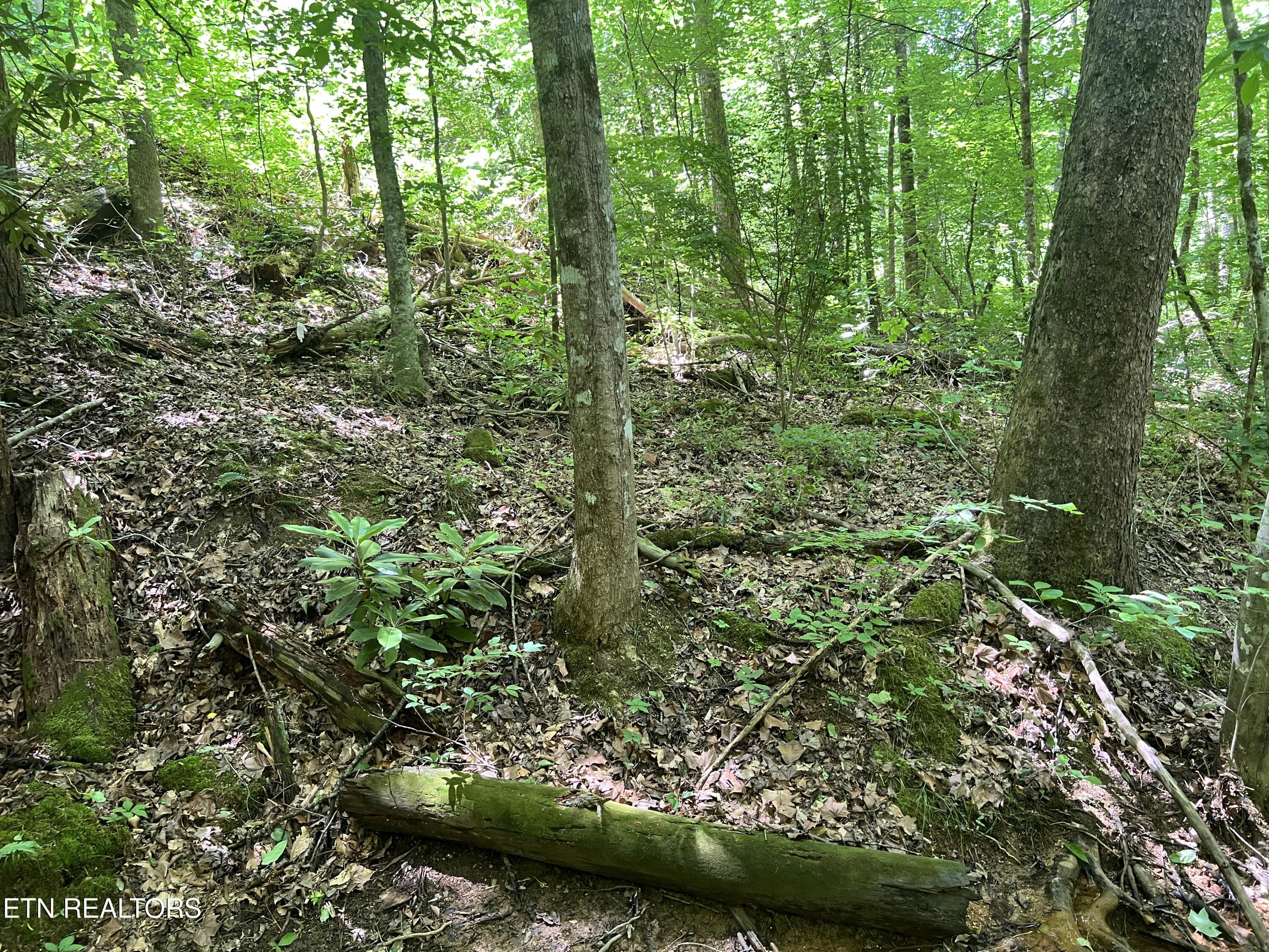 Fir Drive Sevierville TN 37876