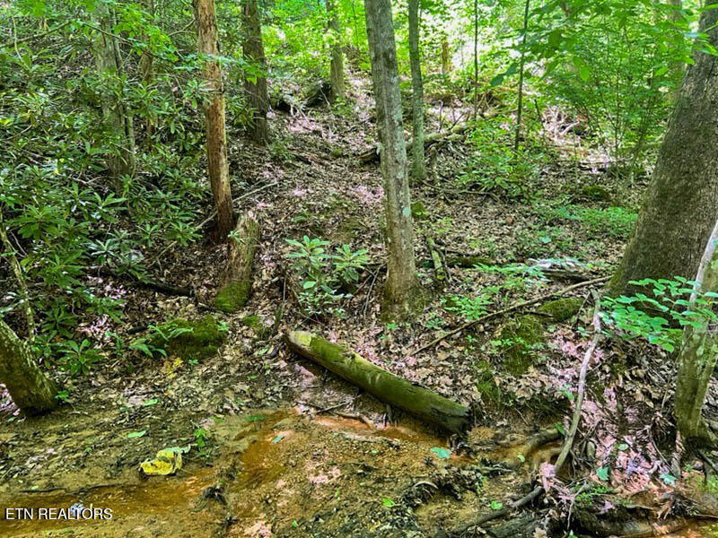 Fir Drive Sevierville TN 37876