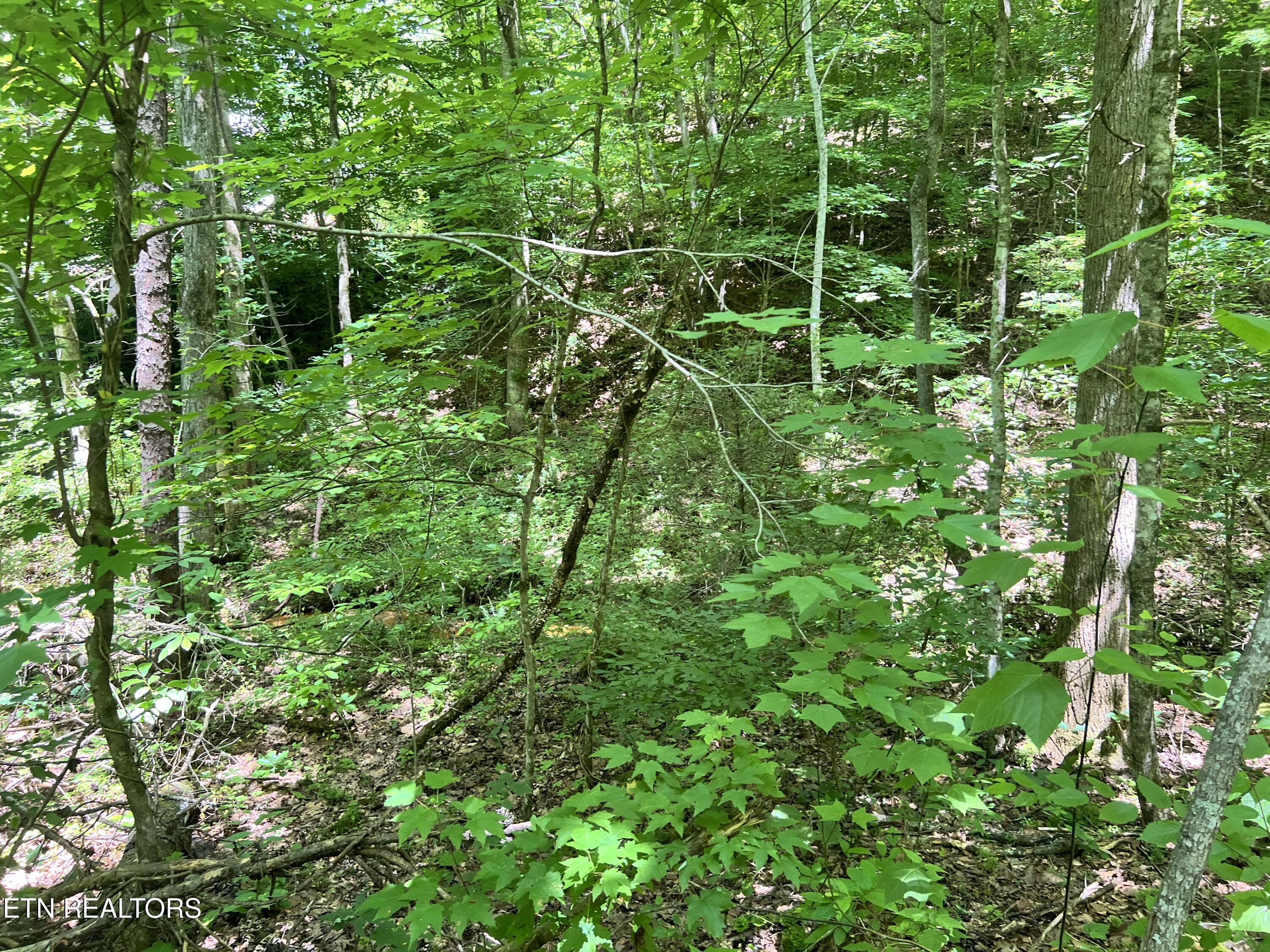 Fir Drive Sevierville TN 37876