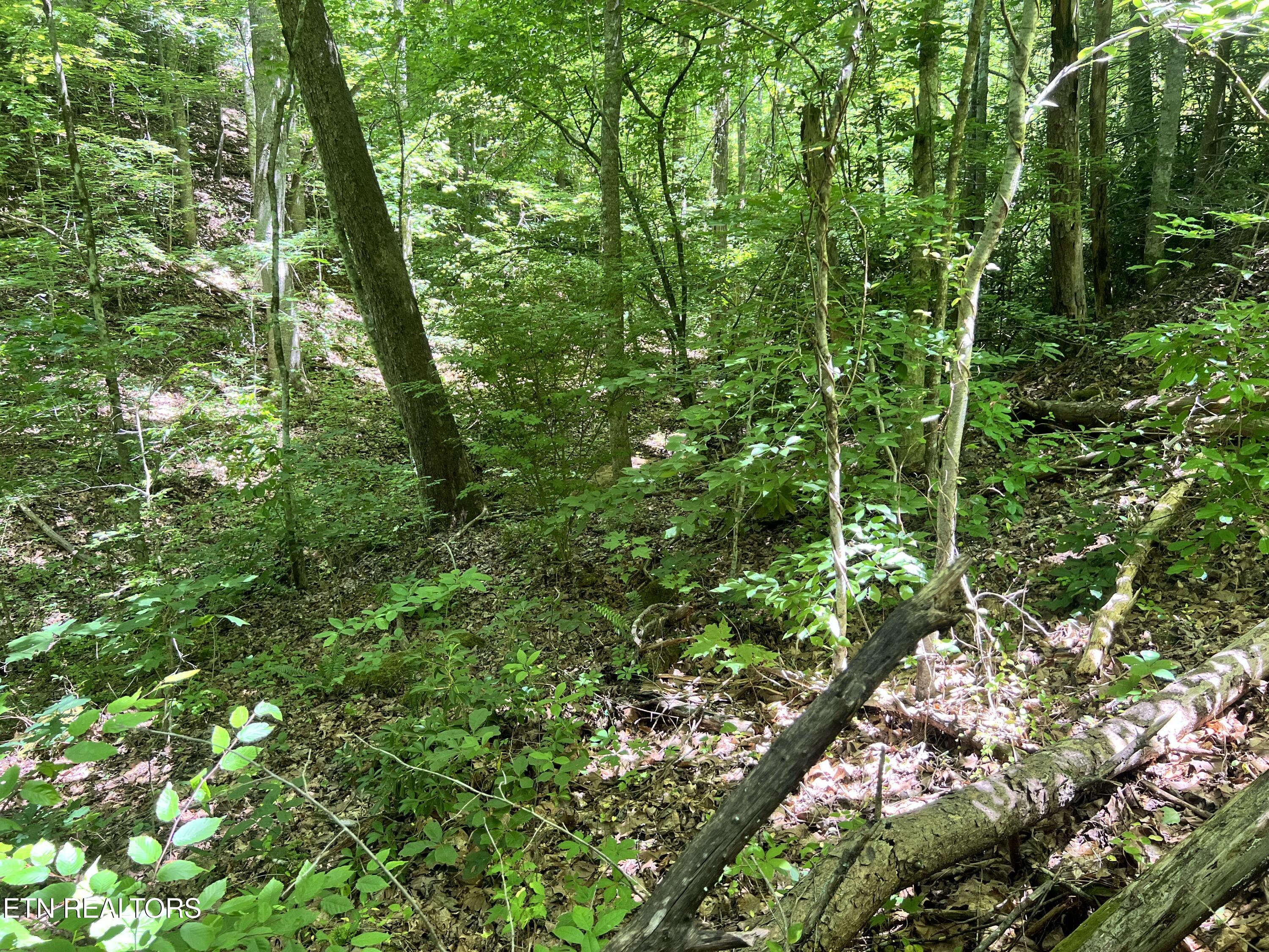 Fir Drive Sevierville TN 37876