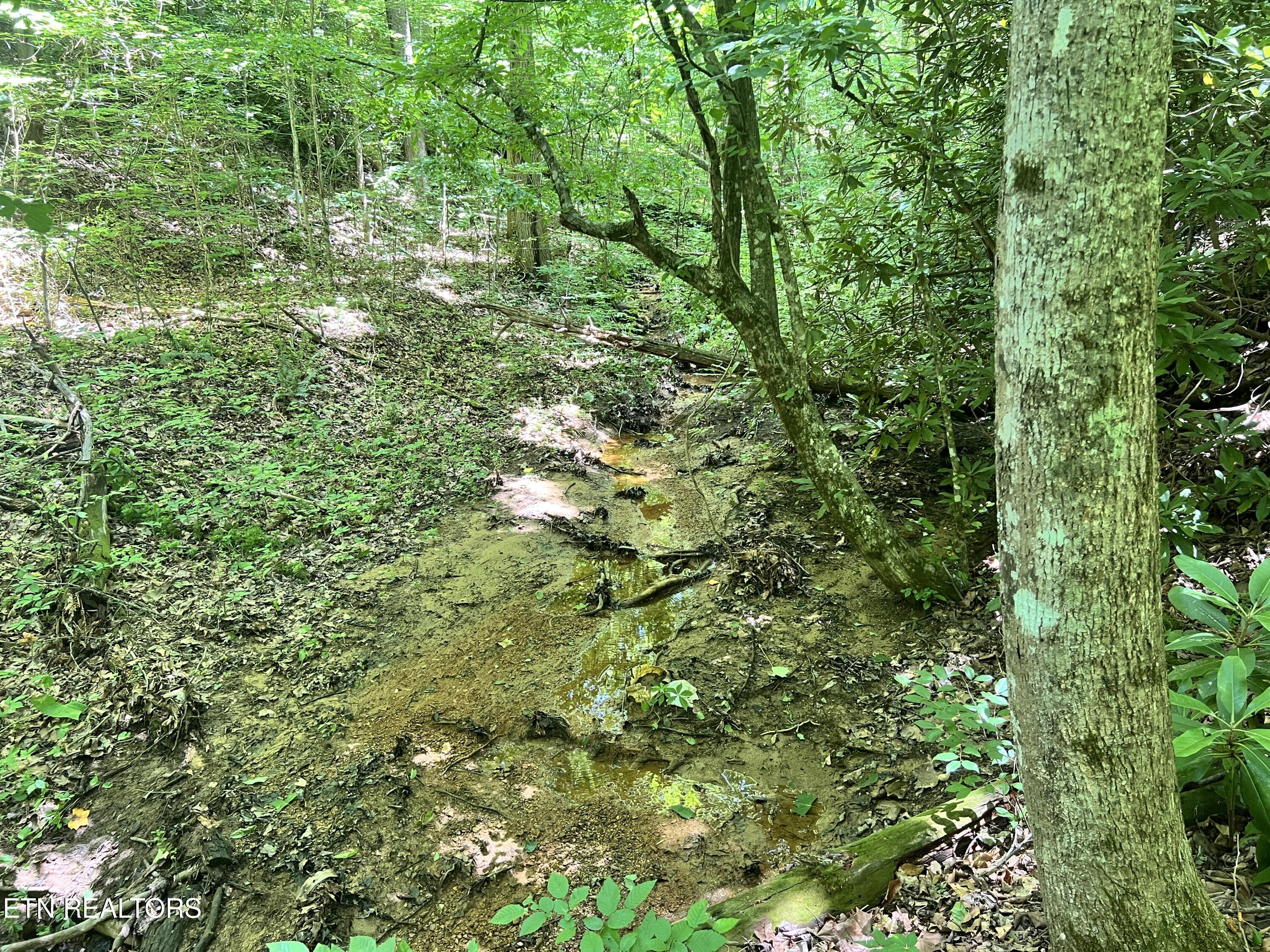 Fir Drive Sevierville TN 37876