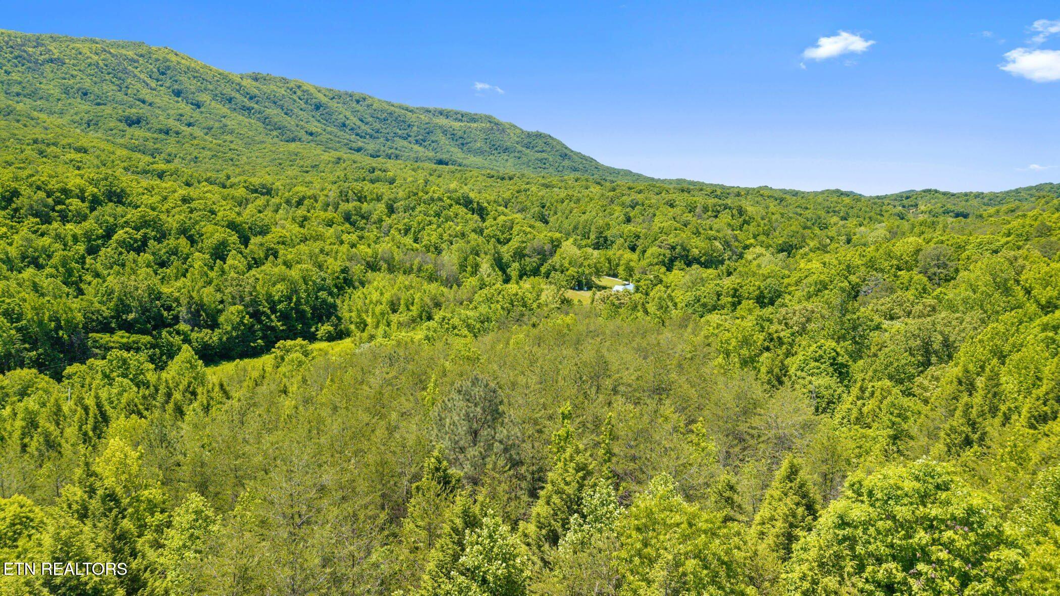 Old Chilhowee Tract 3 Road Seymour TN 37865