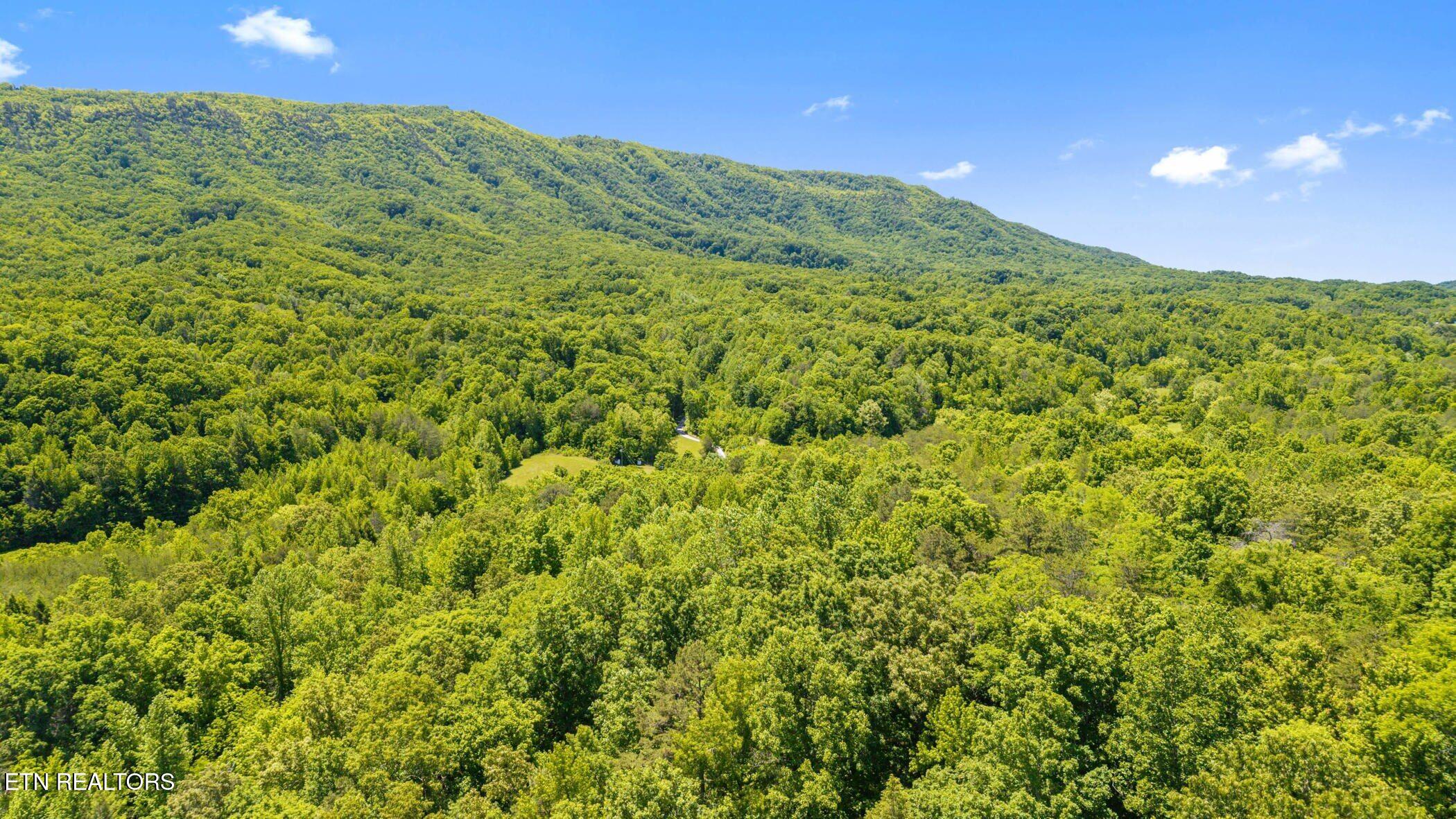 Old Chilhowee Tract 3 Road Seymour TN 37865