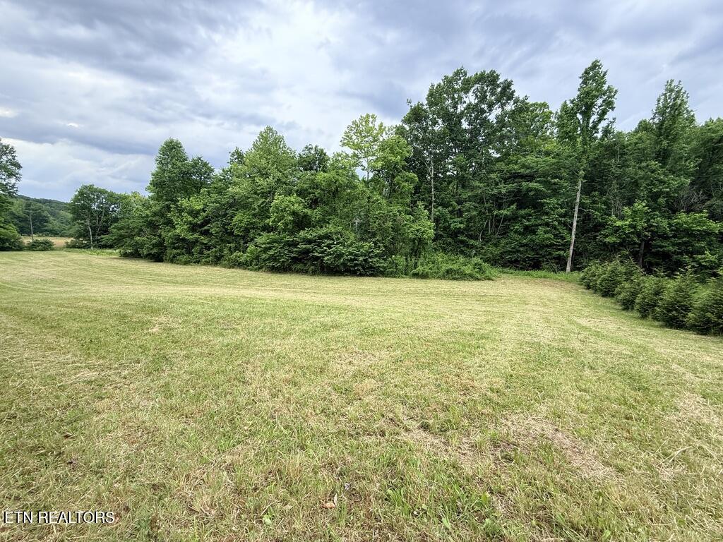 Old Chilhowee Tract 3 Road Seymour TN 37865