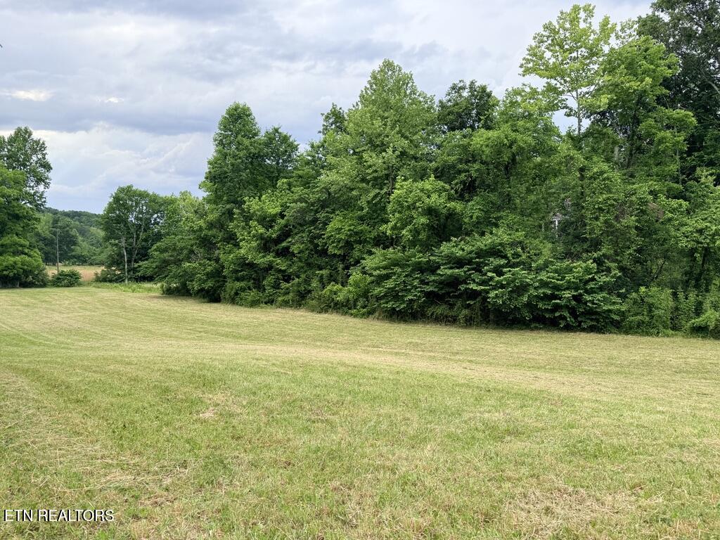 Old Chilhowee Tract 3 Road Seymour TN 37865