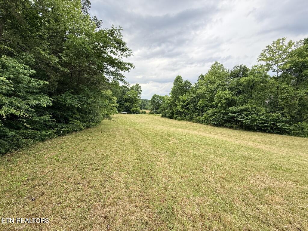 Old Chilhowee Tract 3 Road Seymour TN 37865