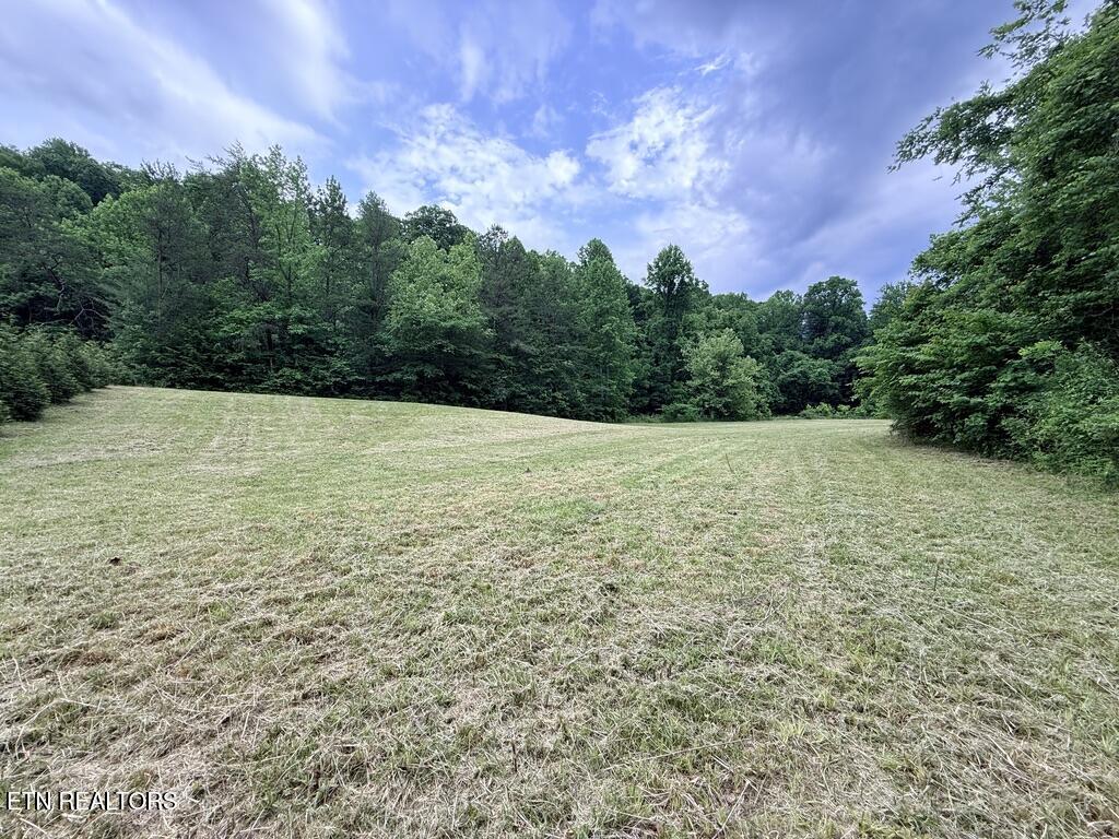 Old Chilhowee Tract 3 Road Seymour TN 37865