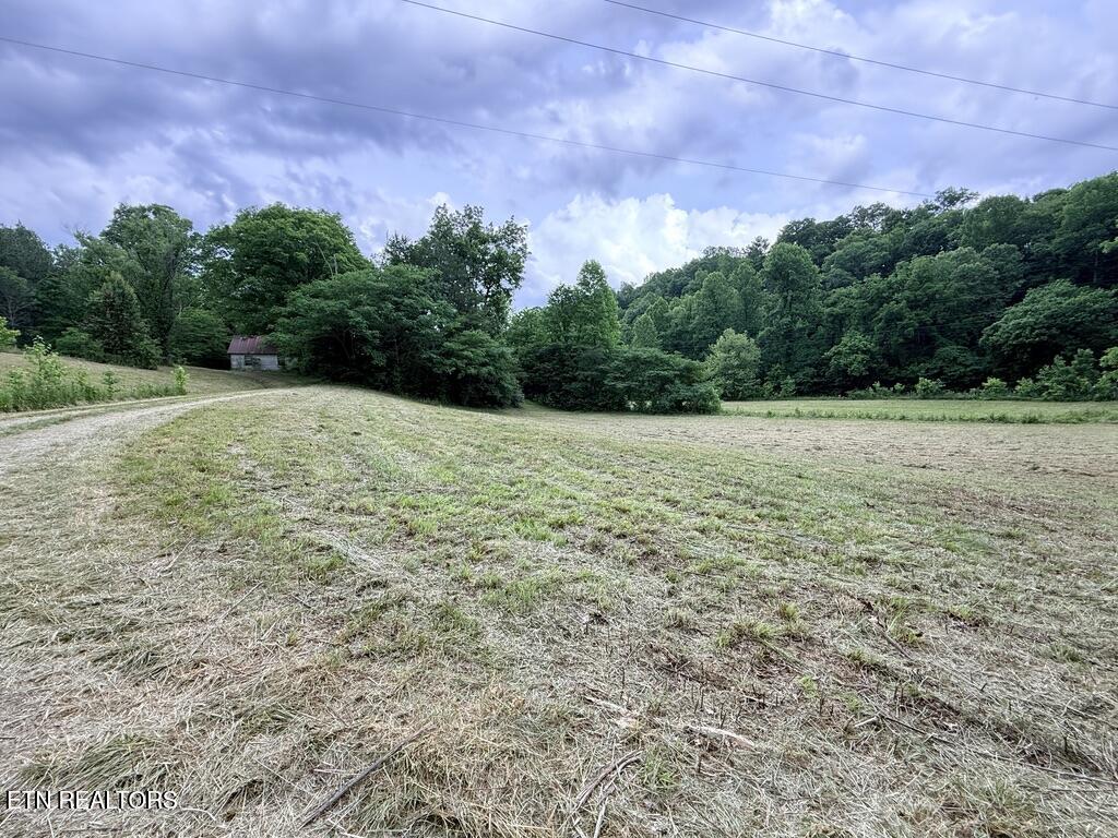 Old Chilhowee Tract 3 Road Seymour TN 37865