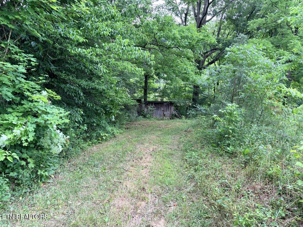 Old Chilhowee Tract 3 Road Seymour TN 37865