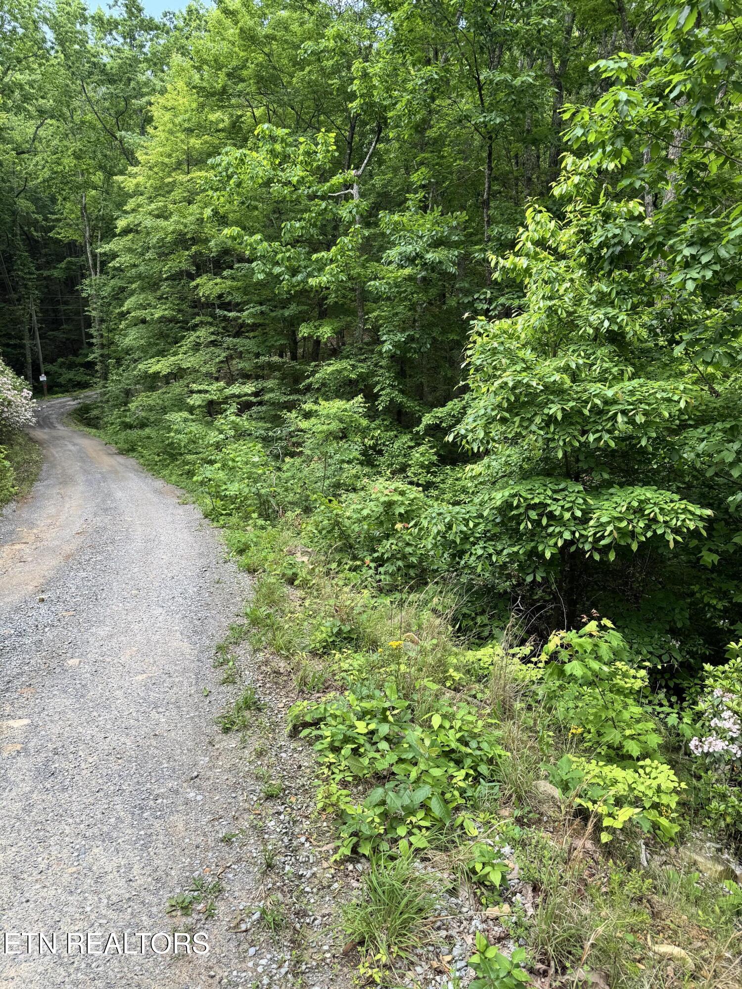Goose Creek Road Seymour TN 37865