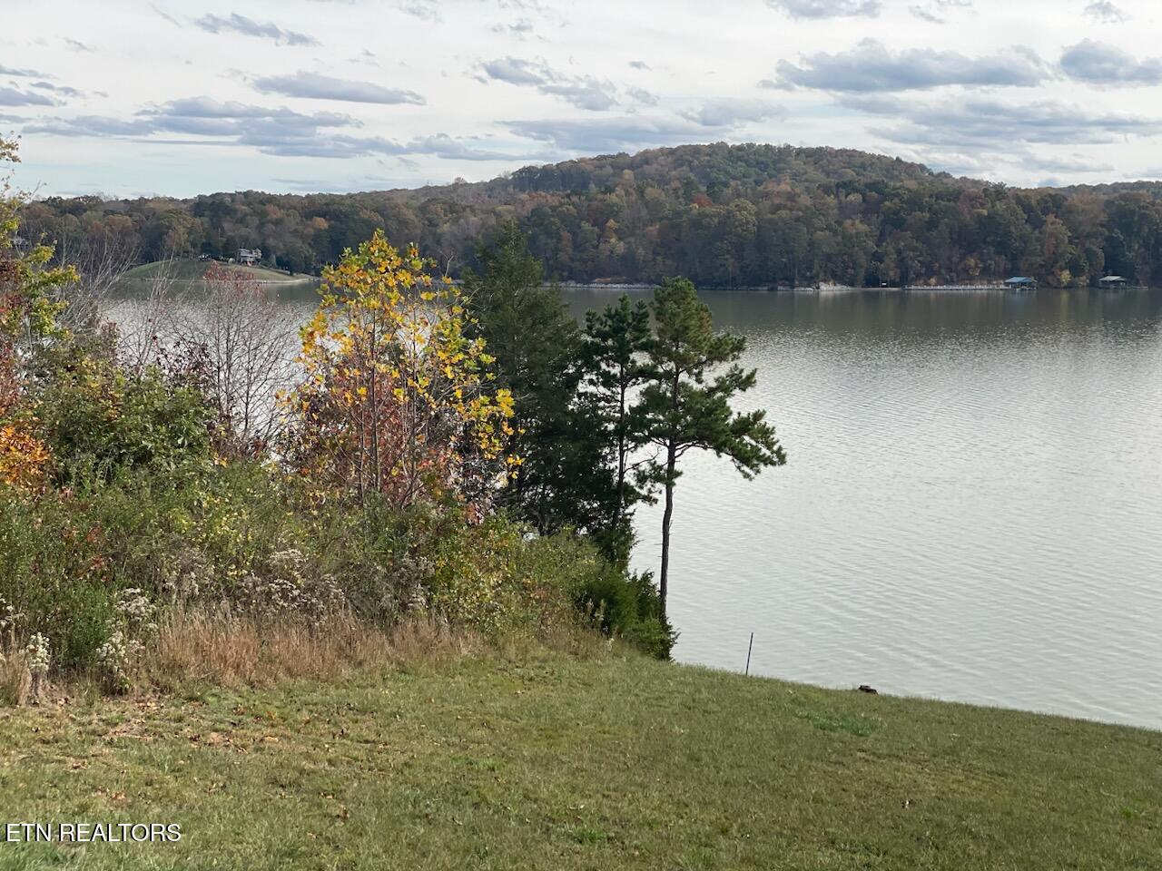 147 Docks Of The Bay Drive Harriman TN 37748