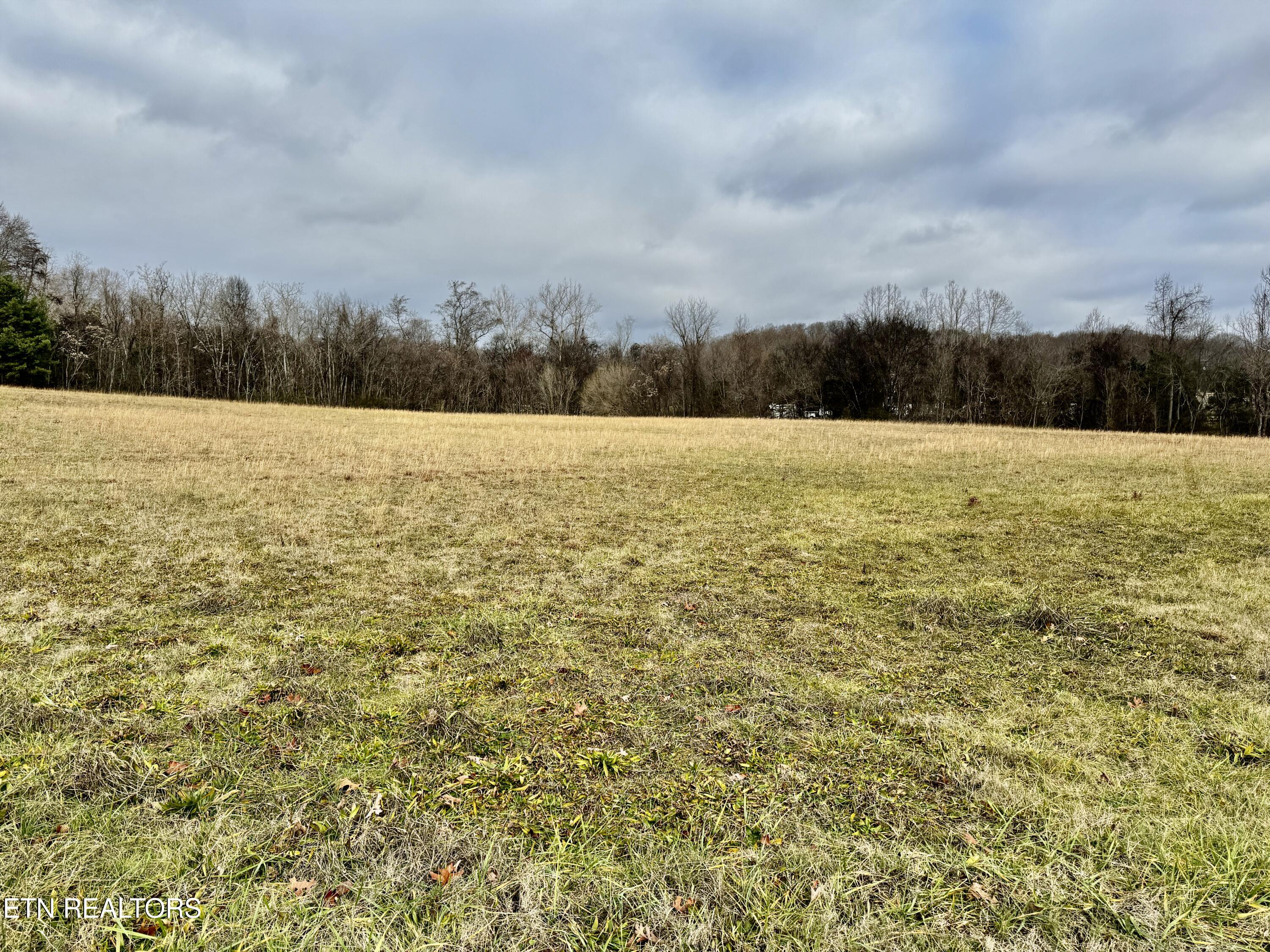 0 Valley Home Road White Pine TN 37890