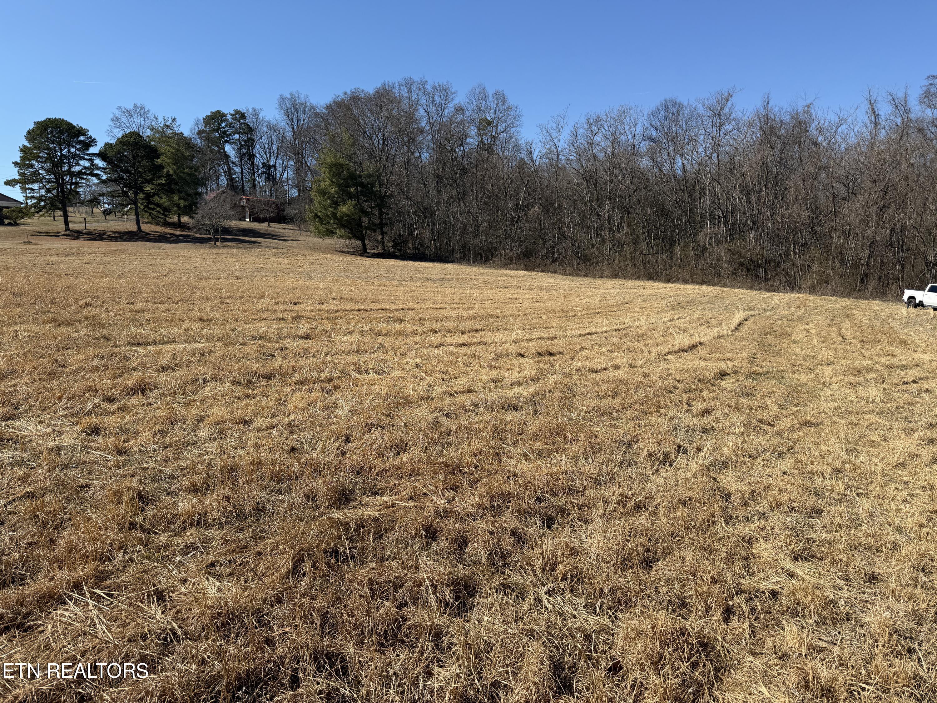 0 Valley Home Road White Pine TN 37890