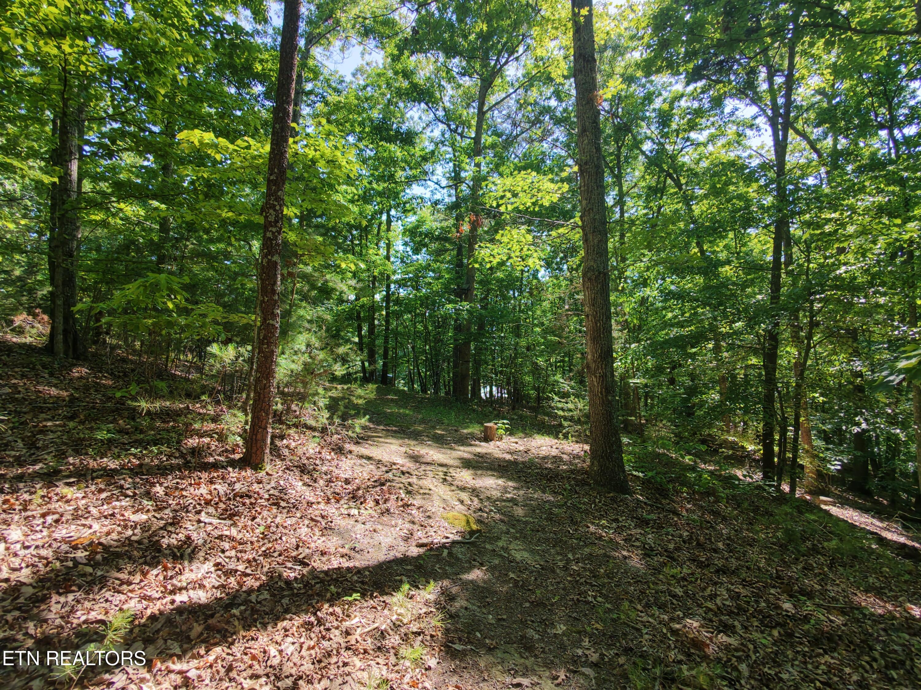 Boulder Way Newport TN 37821