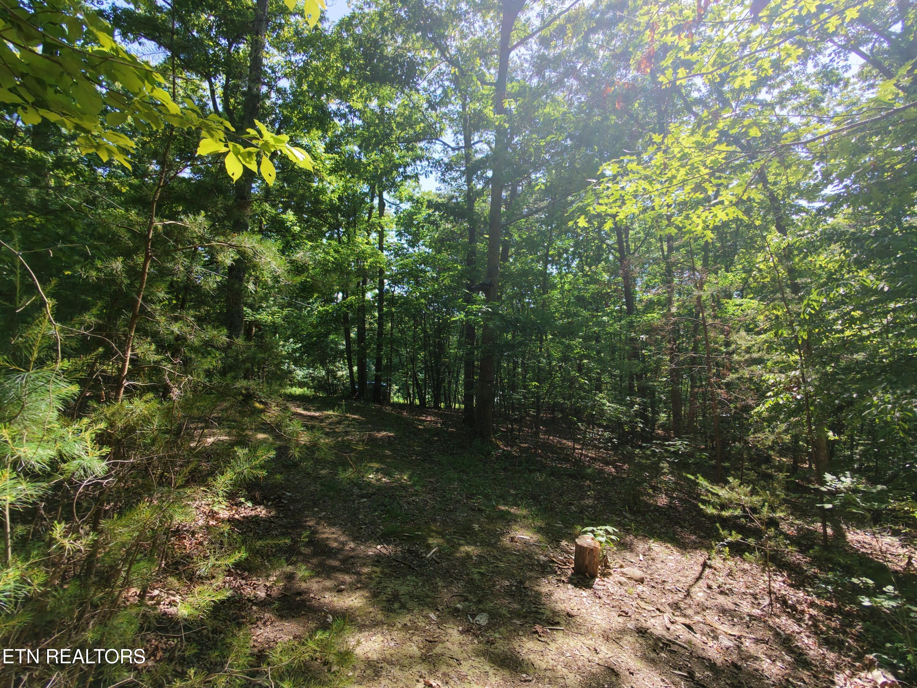 Boulder Way Newport TN 37821
