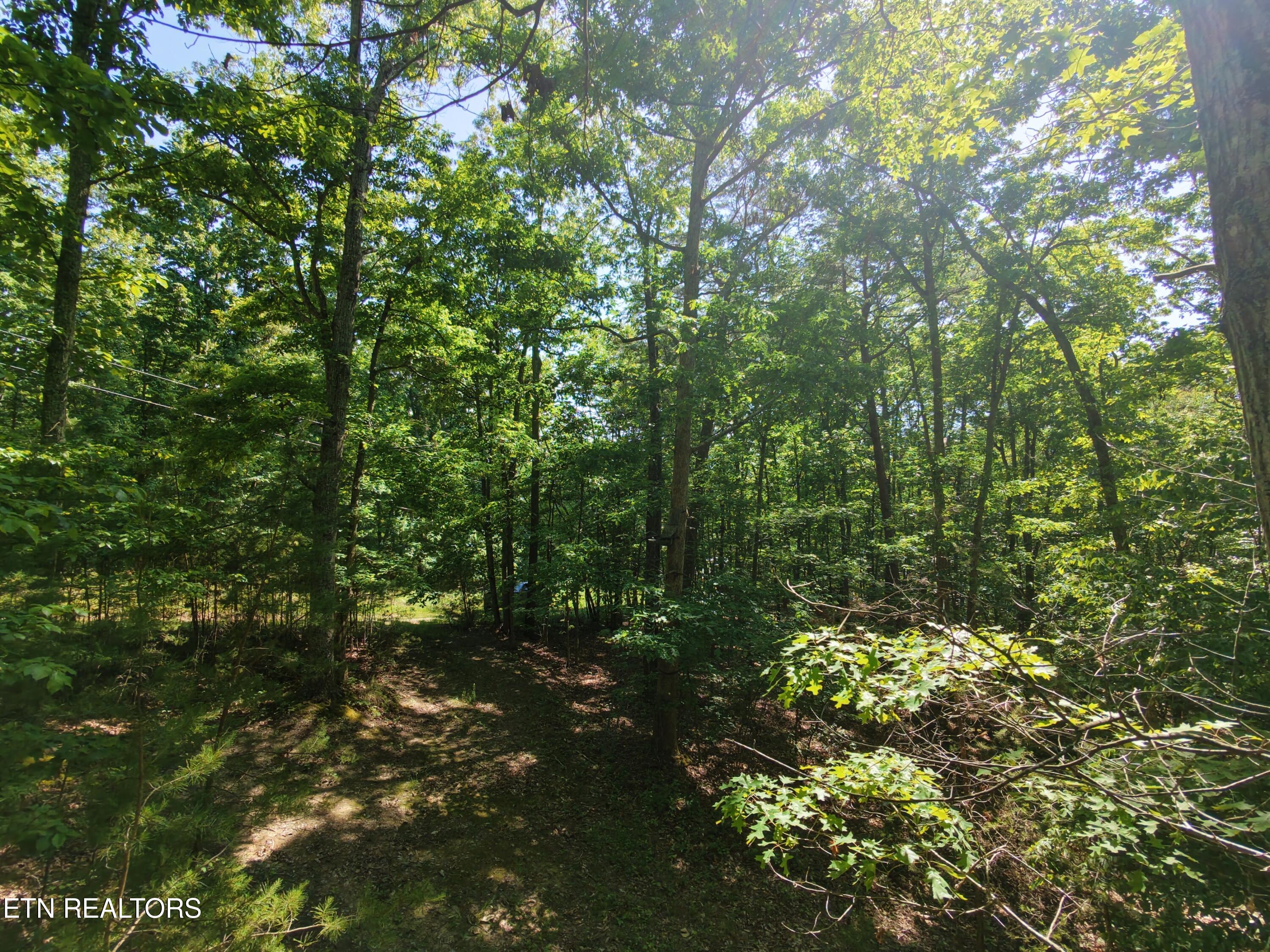 Boulder Way Newport TN 37821