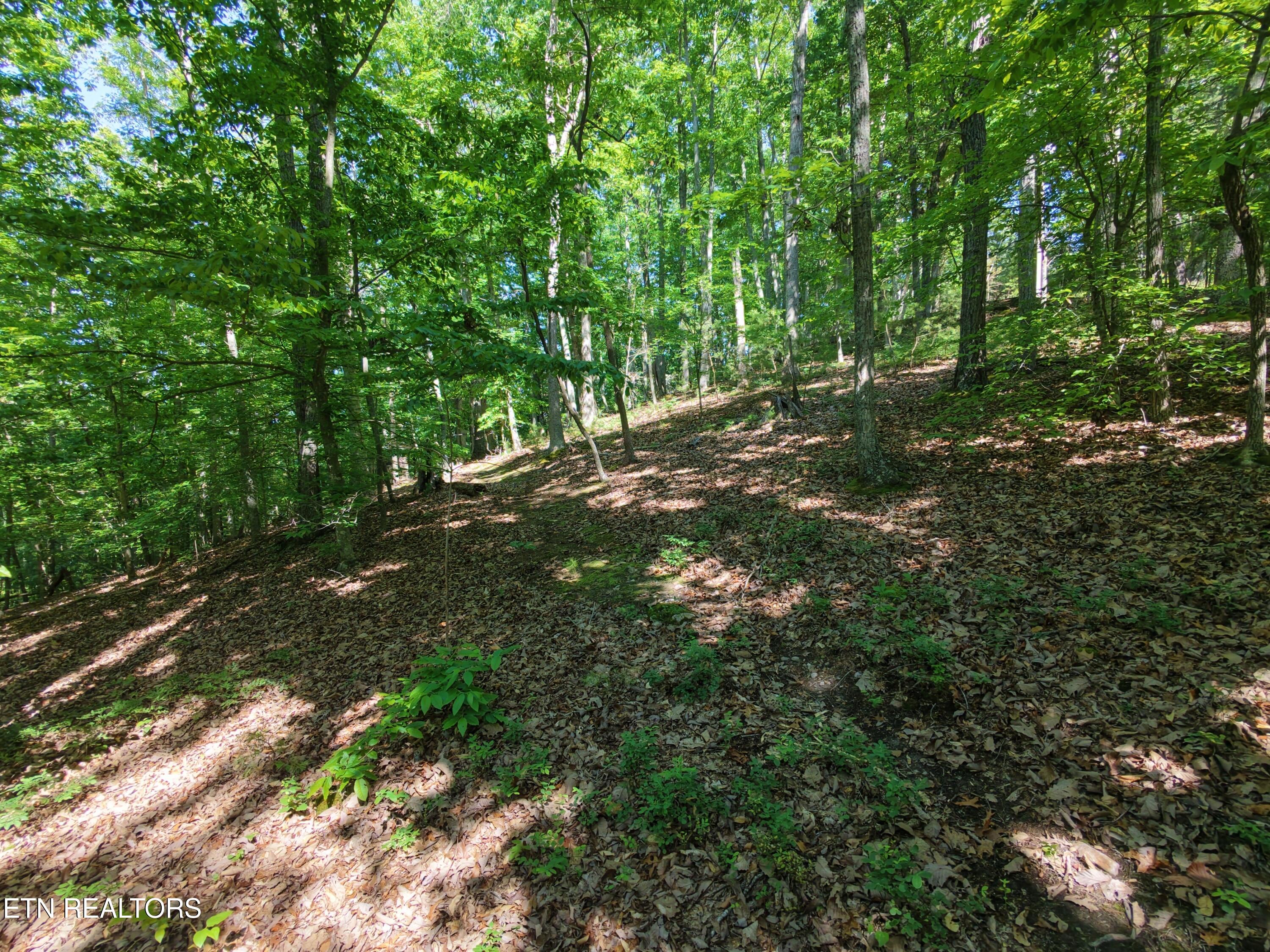 Boulder Way Newport TN 37821