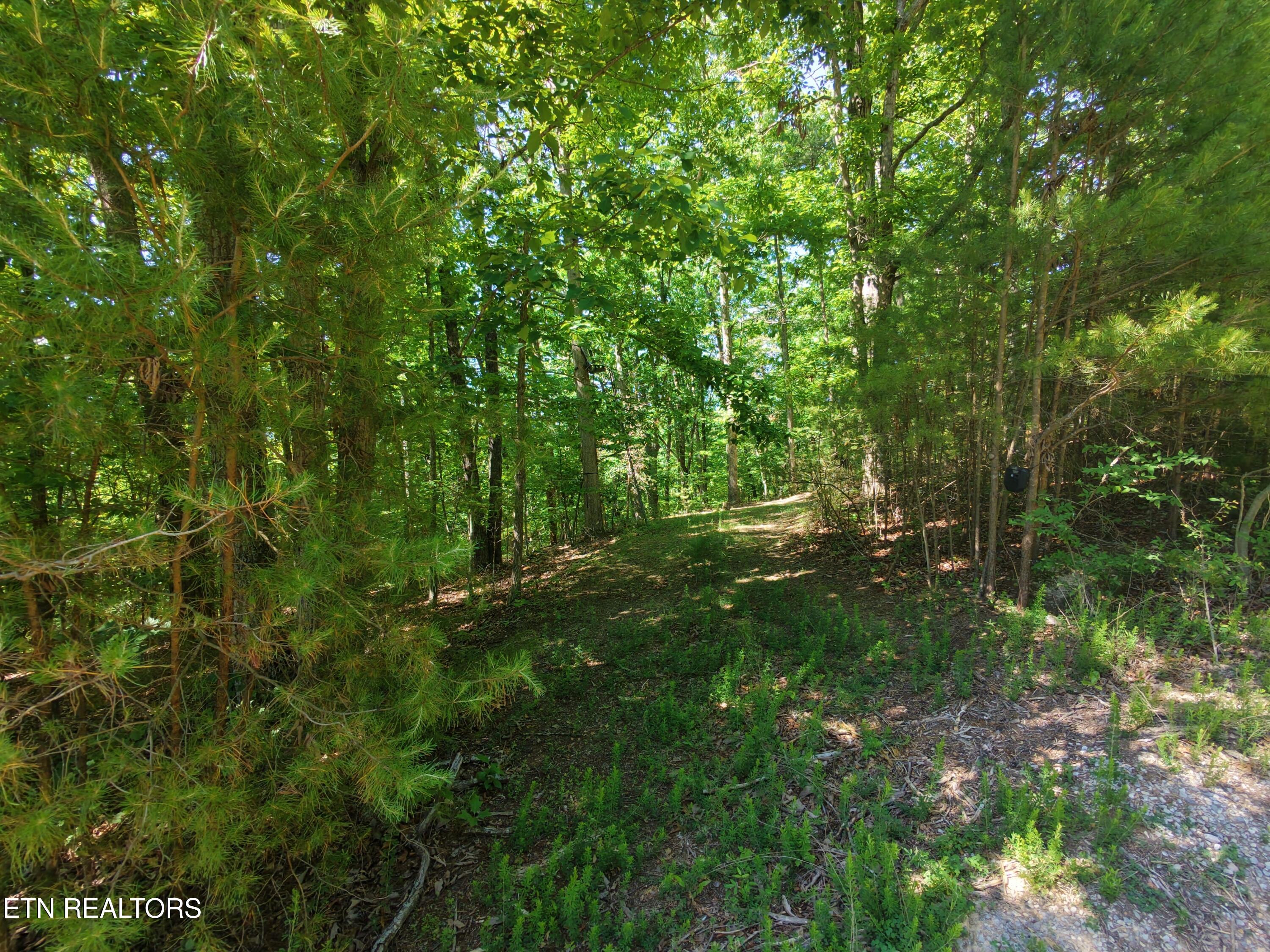 Boulder Way Newport TN 37821