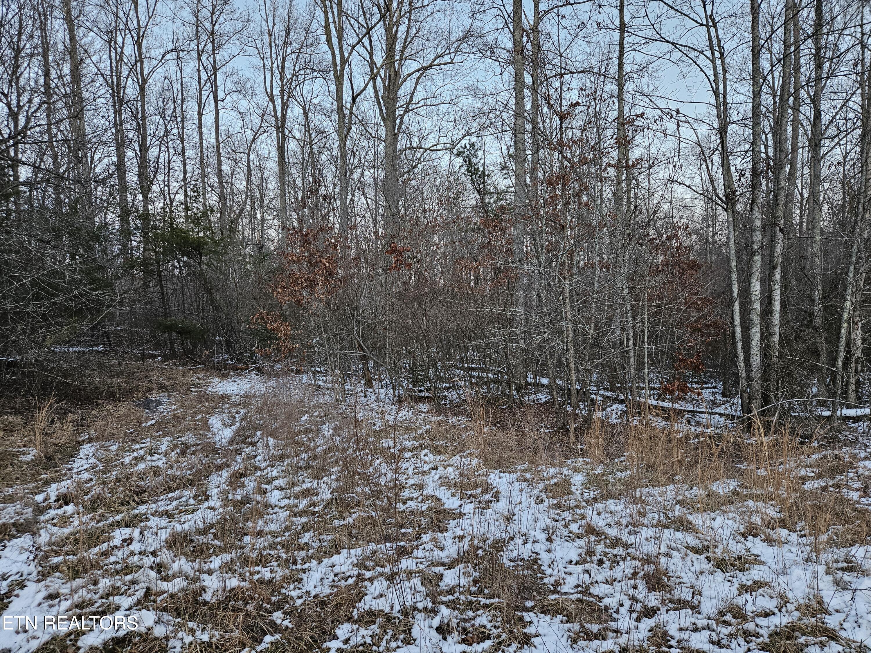1234 Rodgers Road Crossville TN 38572