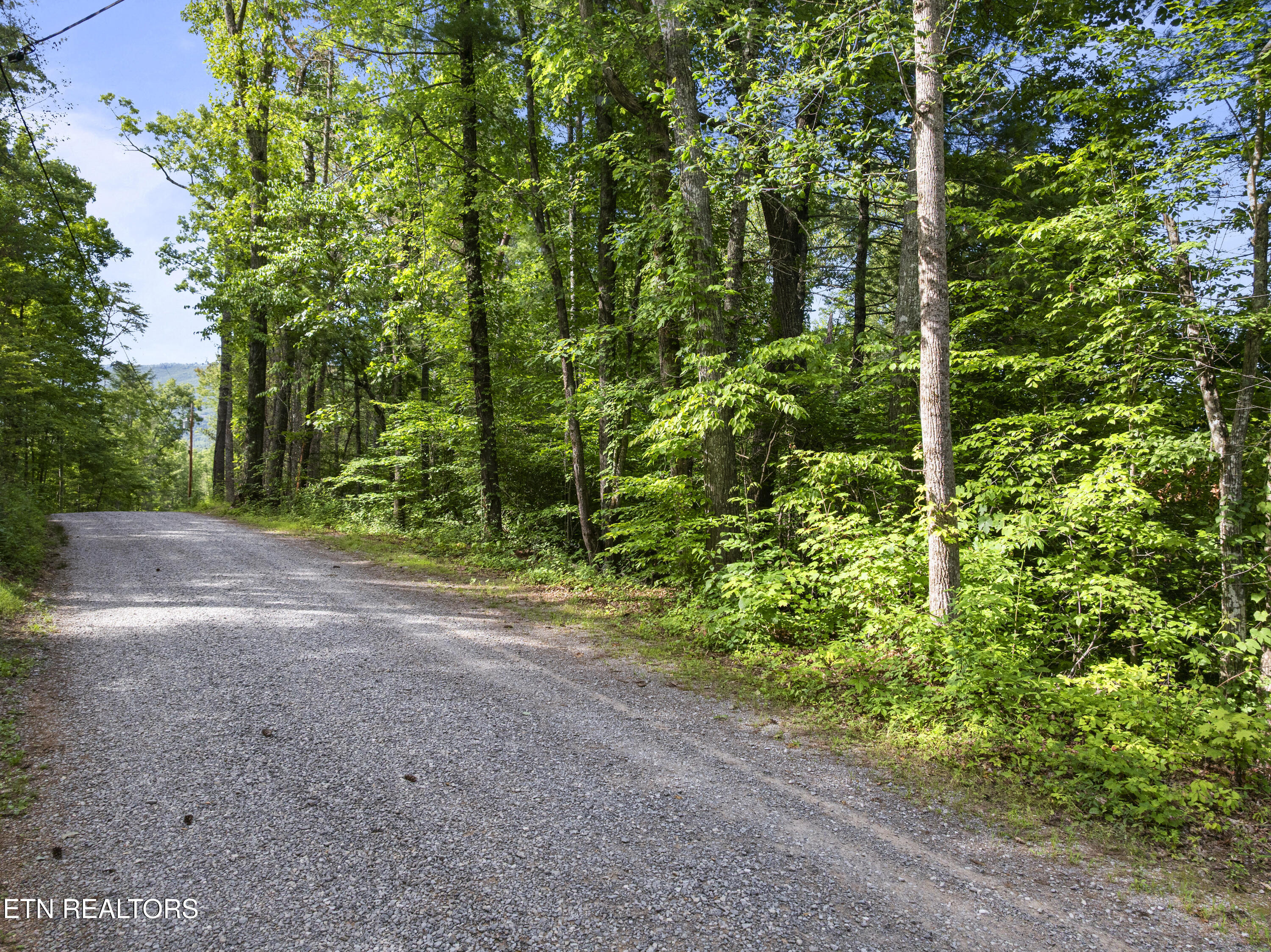Tbd Grouse Top (LOT 3) Road Walland TN 37886