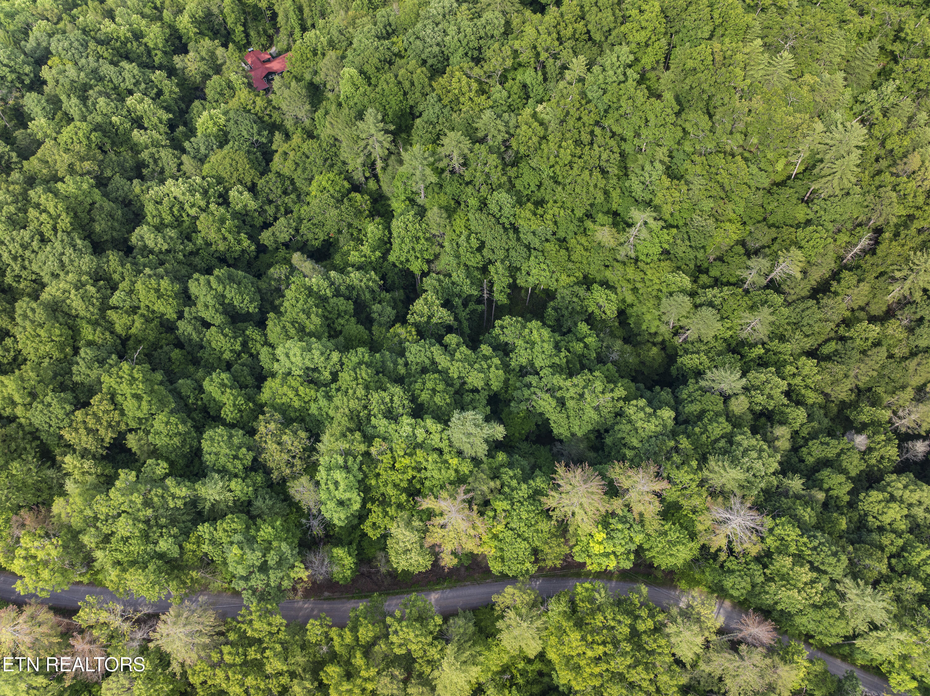 Tbd Grouse Top (LOT 3) Road Walland TN 37886
